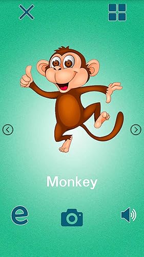 Learning animals sound / picture