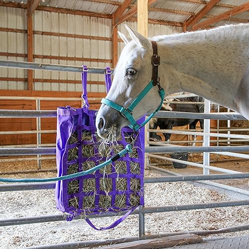 Miniatura 4 de Majestic Ally Halter de cuero con cuerda de plomo a juego para caballos - Corona de cuero - Correa ajustable para la barbilla - Pestillo enrollado