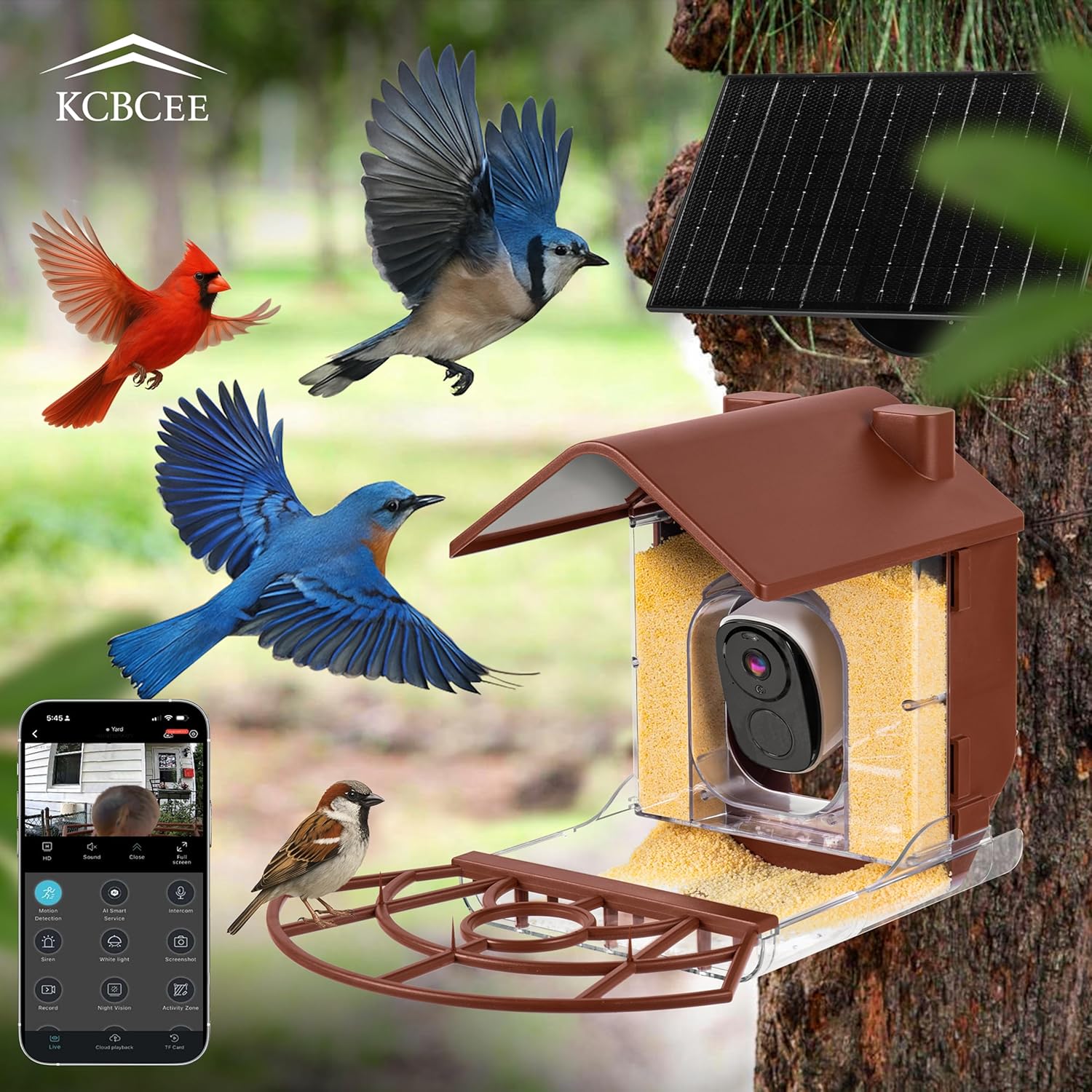 Smart Bird Feeder with Camera Solar Powered - 2K HD Live Video - AI Bird Recognition - Instant App Alerts - Weatherproof Design - Birdwatching for Nature Lovers - Capture Wildlife