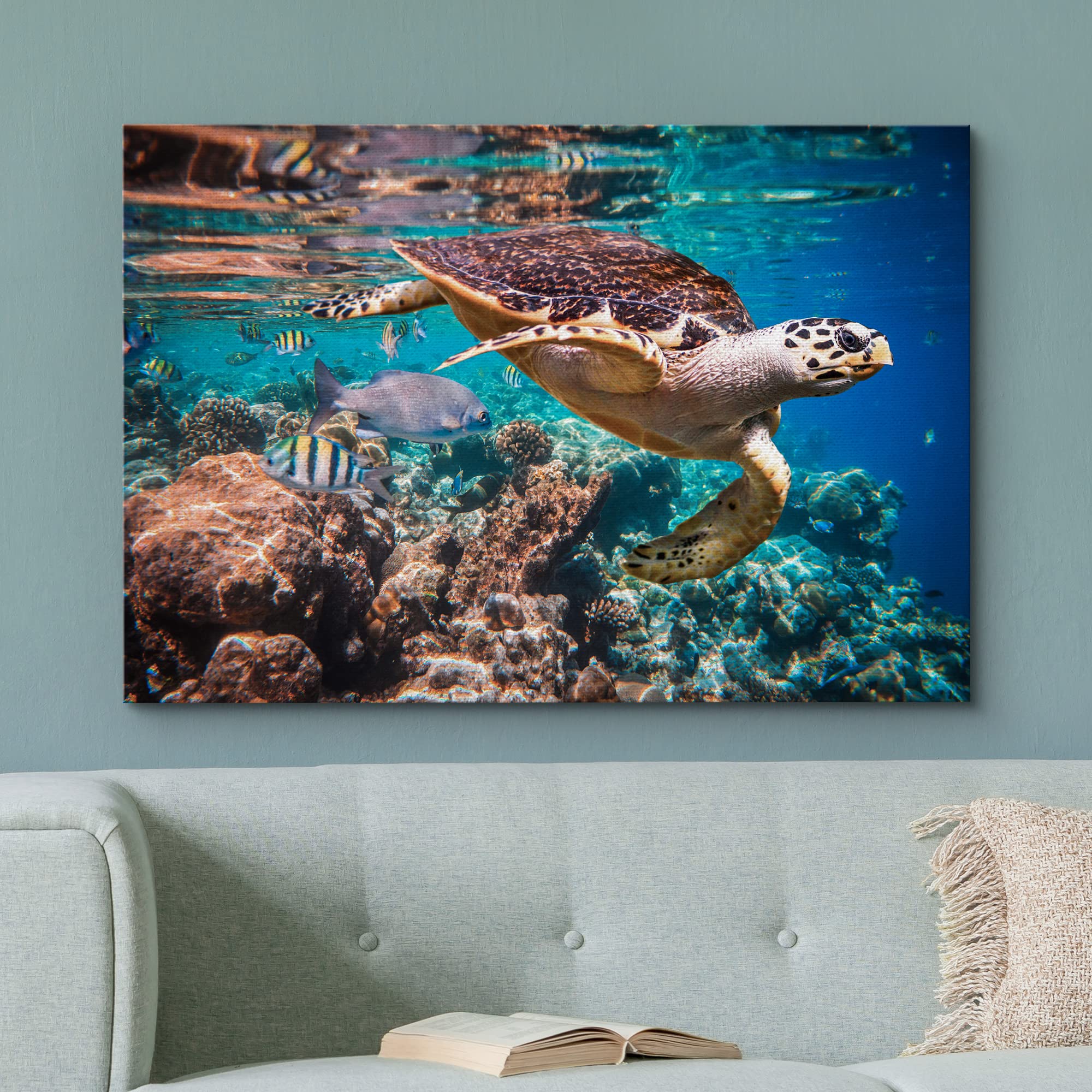 Amazon.com: wall26 Canvas Print Wall Art Tropical Turtle Coral