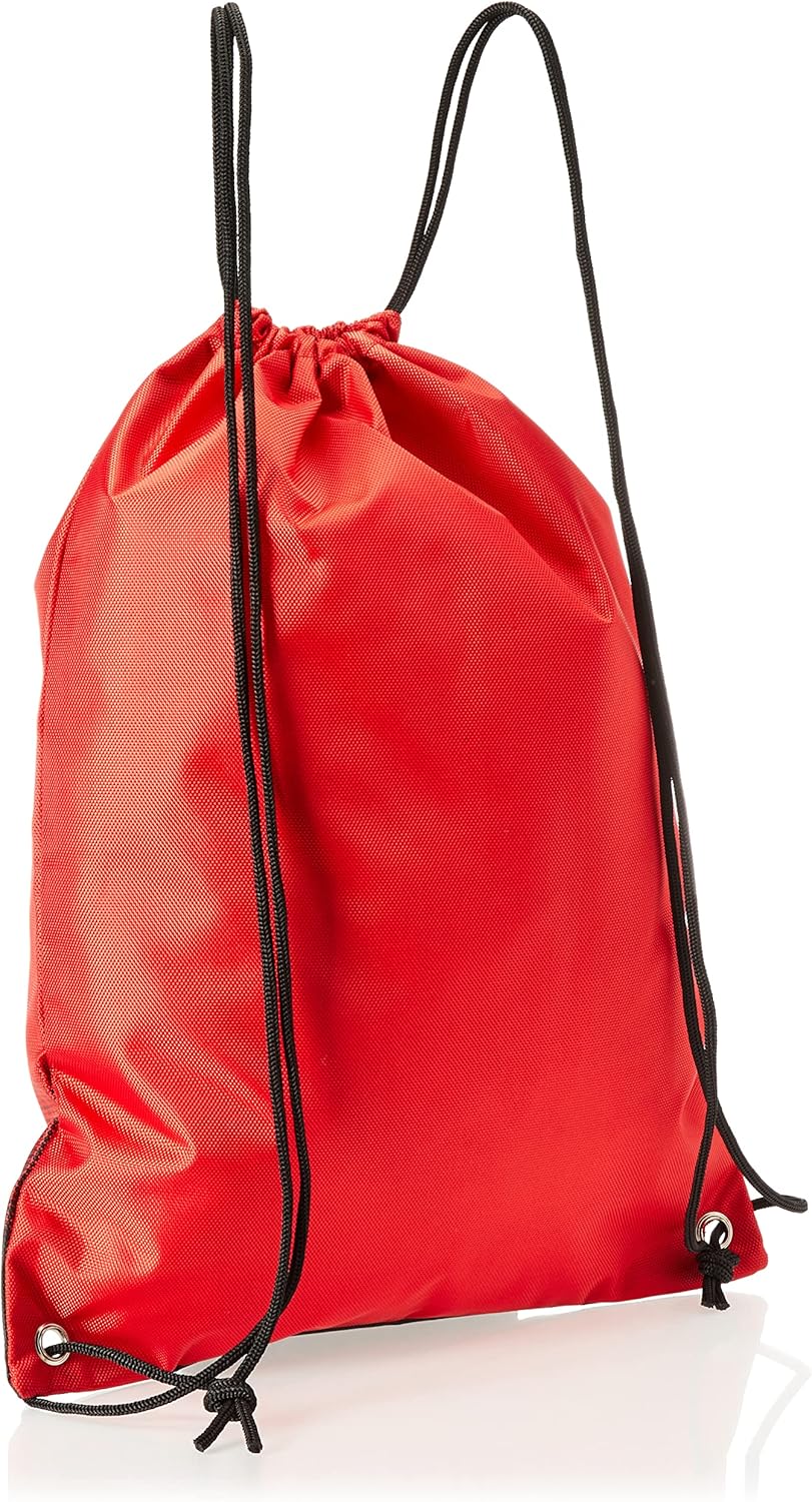 FOCO South Carolina Gamecocks NCAA Gradient Drawstring Backpack