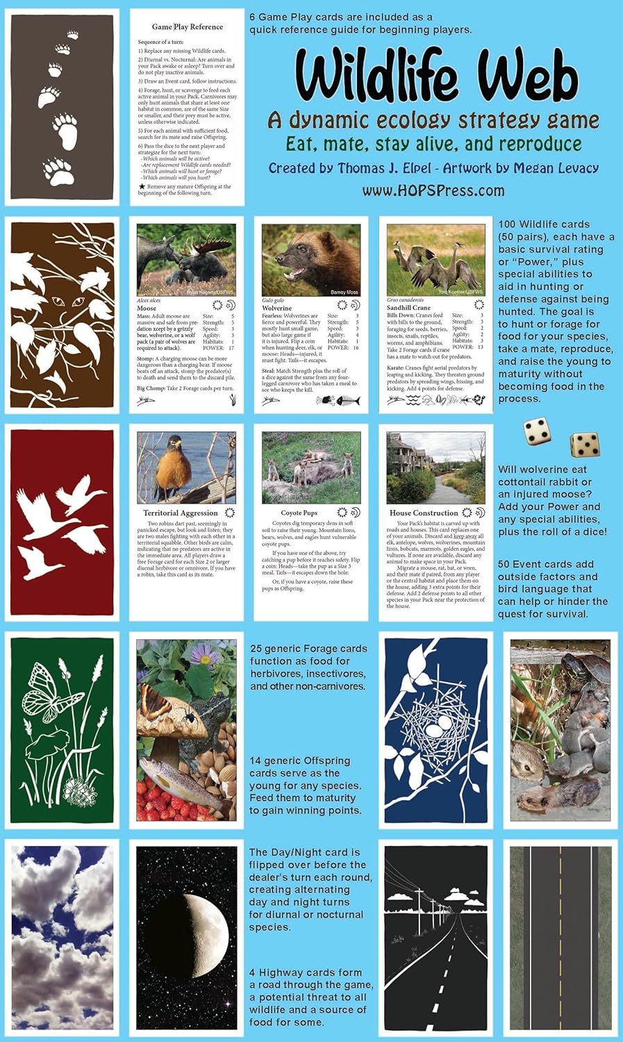 Wildlife Web: A Dynamic Ecology Strategy Game