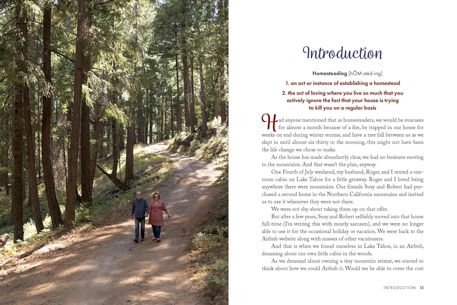 The Accidental Homesteader: What I’ve Learned About Chickens, Compost, and Creating Home      Paperback – August 29, 2023