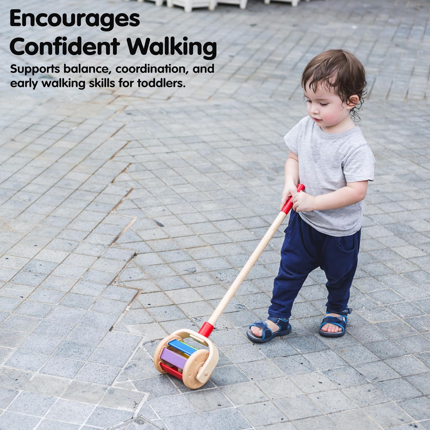 PlanToys® Wooden Walk N Roll Push Toy | Montessori Walking Toy for Gross Motor Skills, Balance & Coordination with Gentle Rolling Sounds | Eco Friendly Activity Toy