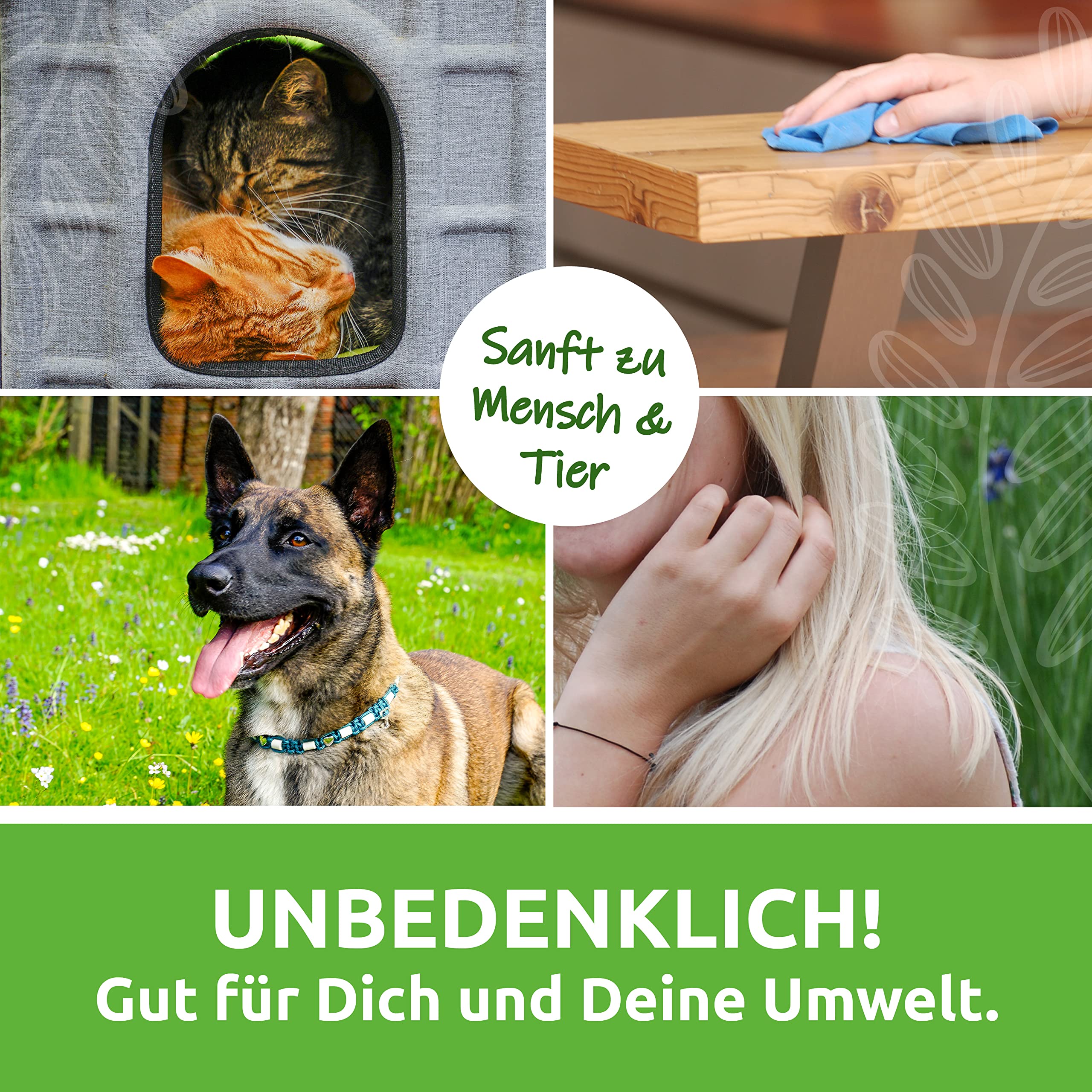 Fischer's EM-Chiemgau Sapalotta – Regionaler Allzweckreiniger mit Effektiven Mikroorganismen 5 L BiB – Seifenkraut & Efeu – Probiotischer Reiniger für alle Oberflächen – Vegan & ECOCERT zertifiziert