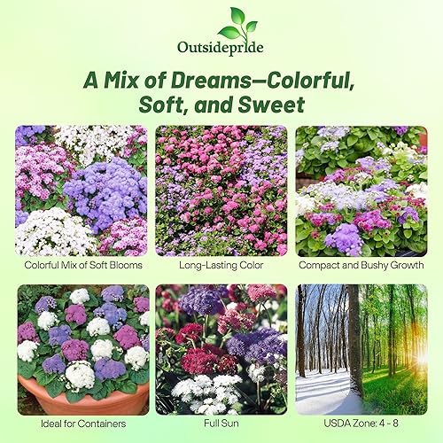 Miniatura 2 de Outsidepride Mix Ageratum Seeds - 10000 semillas de flores anuales para plantar con flores vibrantes y peludas, fáciles de cultivar y tolerantes a