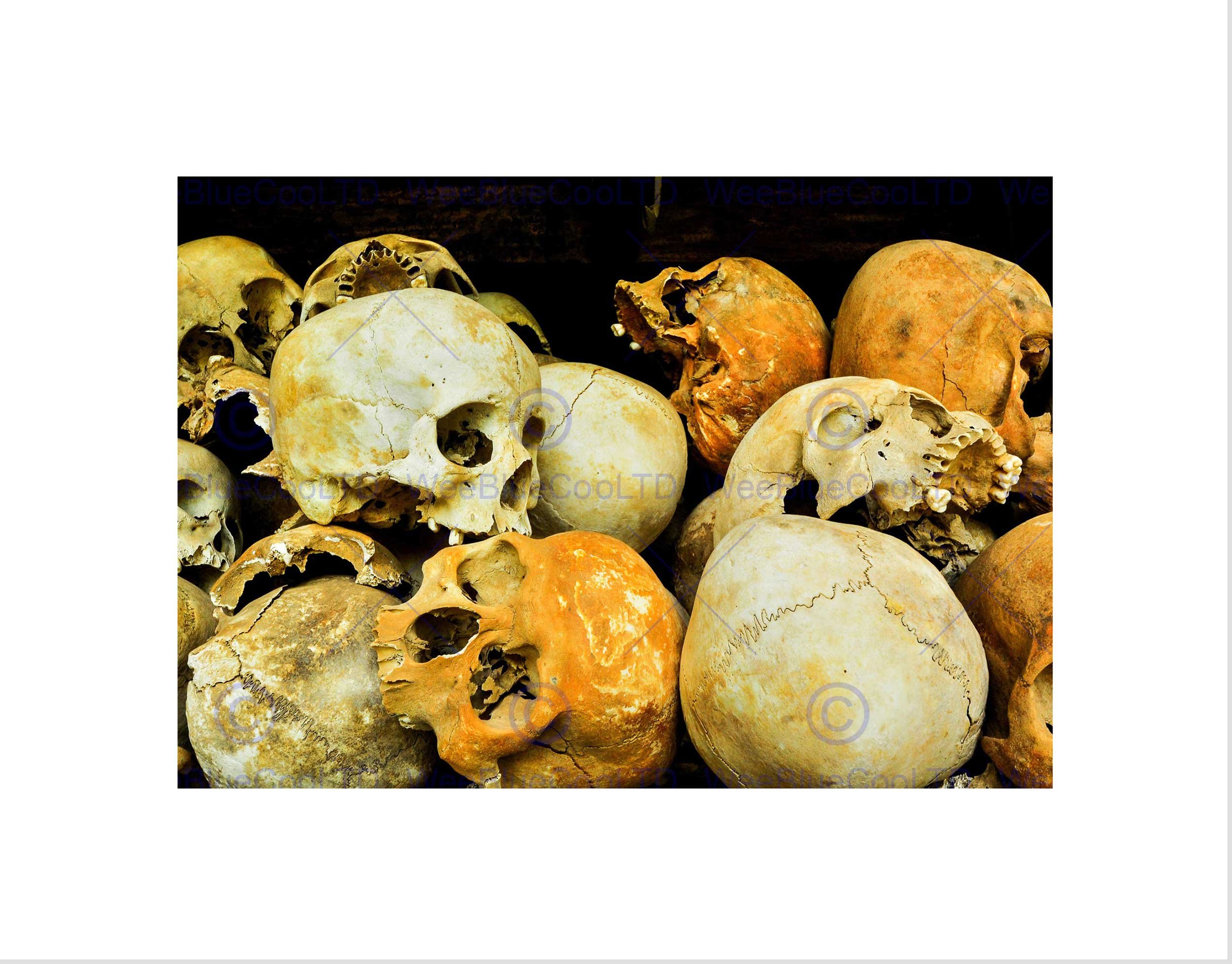 Wee Blue Coo PHOTO HUMAN BODY ANATOMY SKULLS BONES DEATH BLACK FRAMED ART PRINT B12X13301