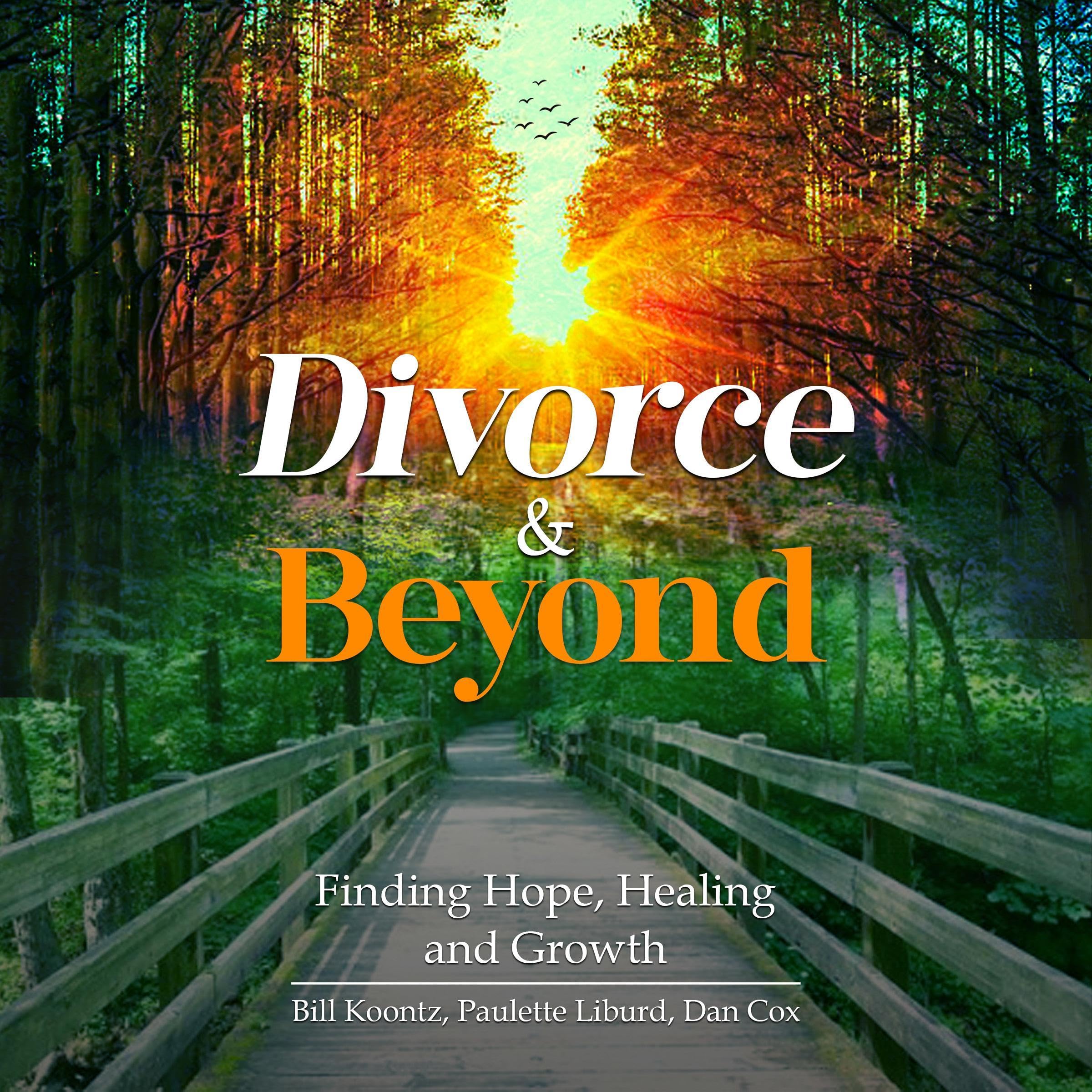 Divorce and Beyond