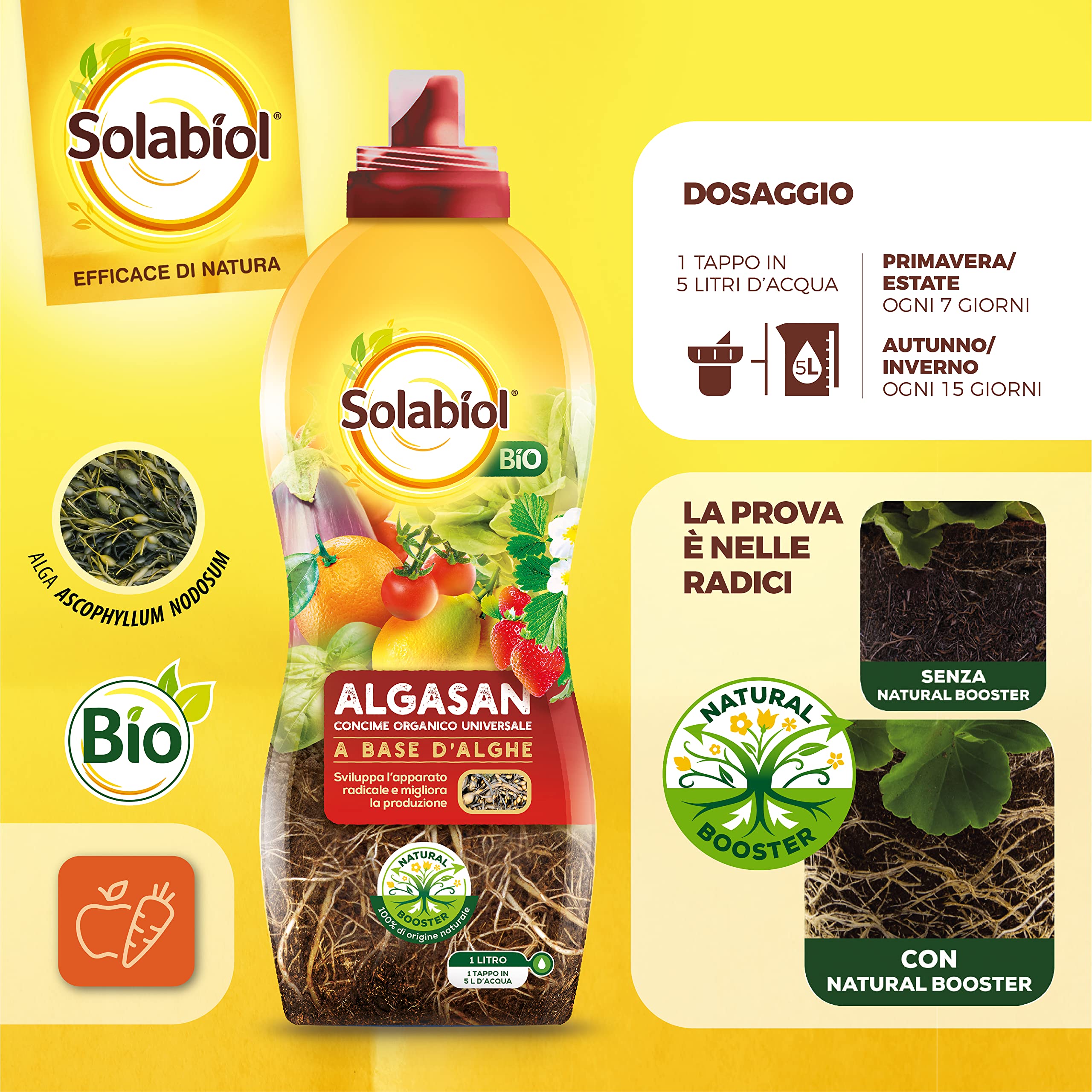 Solabiol Algasan, Concime Liquido Biologico Universale a Base di Alghe Brune con Tecnologia Natural Booster, 1L (Confezione da 3)