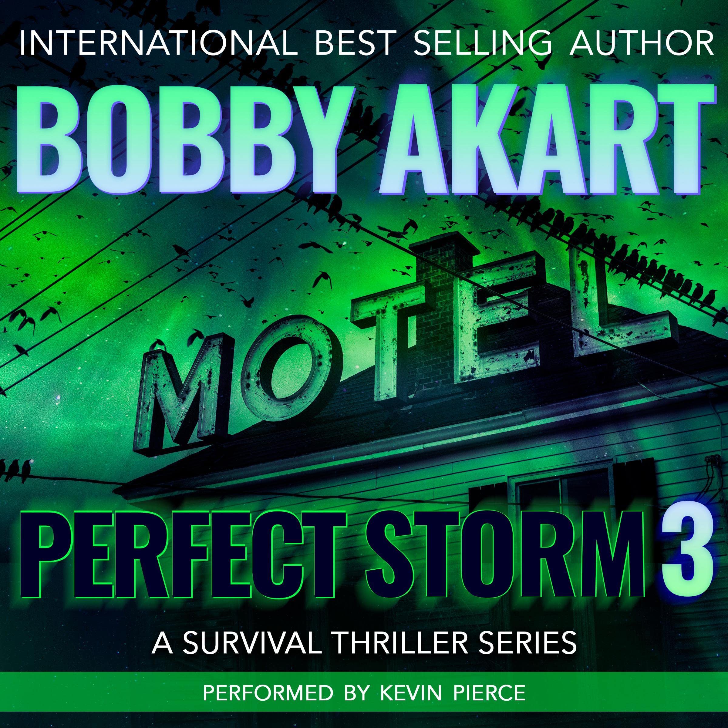 Cover art for Perfect Storm 3