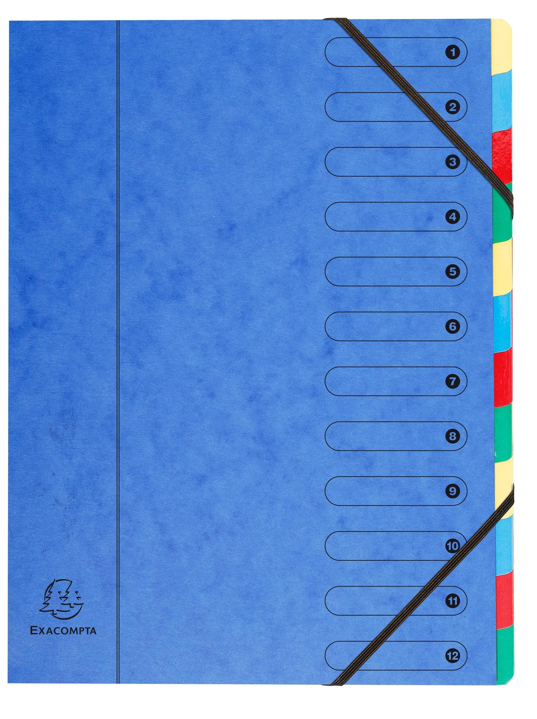 Exacompta - Ref 5212E - Harmonika Multipart File - 24.5 x 32cm in Size, Suitable for A4 Documents, 12 Multi-Coloured Tabbed Sections, Premium Pressboard Cover - Assorted Colours