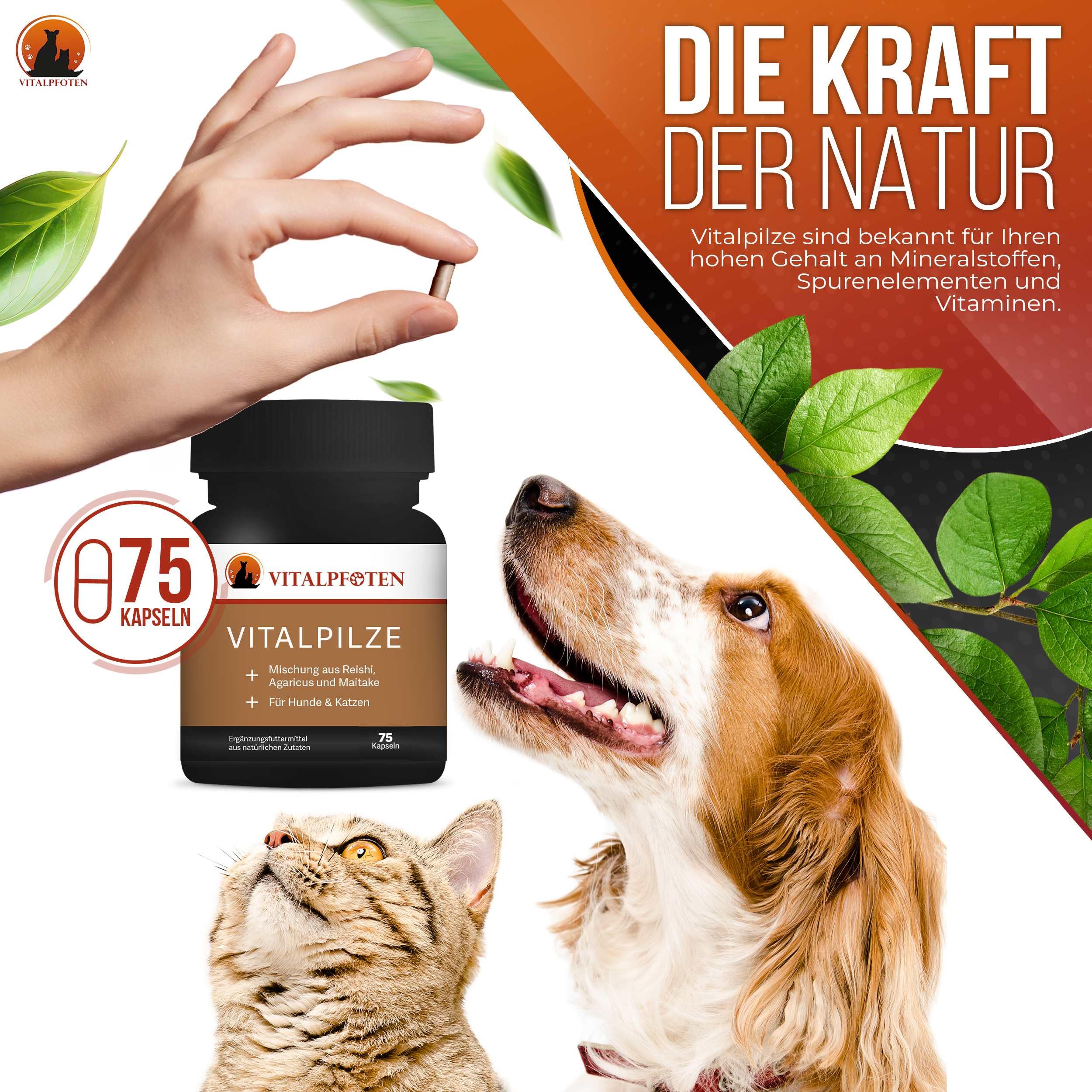 3x75 Vitalpilze Kapseln für Hunde & Katzen mit Heilpilz-Extrakt aus dem ganzen Fruchtkörper für das Immunsystem und Fellpflege