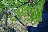 Vista 3 de FELCO F21 Hecho en Suiza Loppers para Jardinería – Loppers de 24.8" de Alta Resistencia para Recortar Árboles Cortadores de Ramas de Árboles