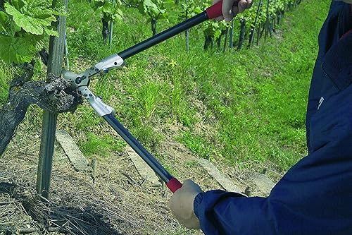 Miniatura 3 de FELCO F21 Hecho en Suiza Loppers para Jardinería – Loppers de 24.8" de Alta Resistencia para Recortar Árboles Cortadores de Ramas de Árboles