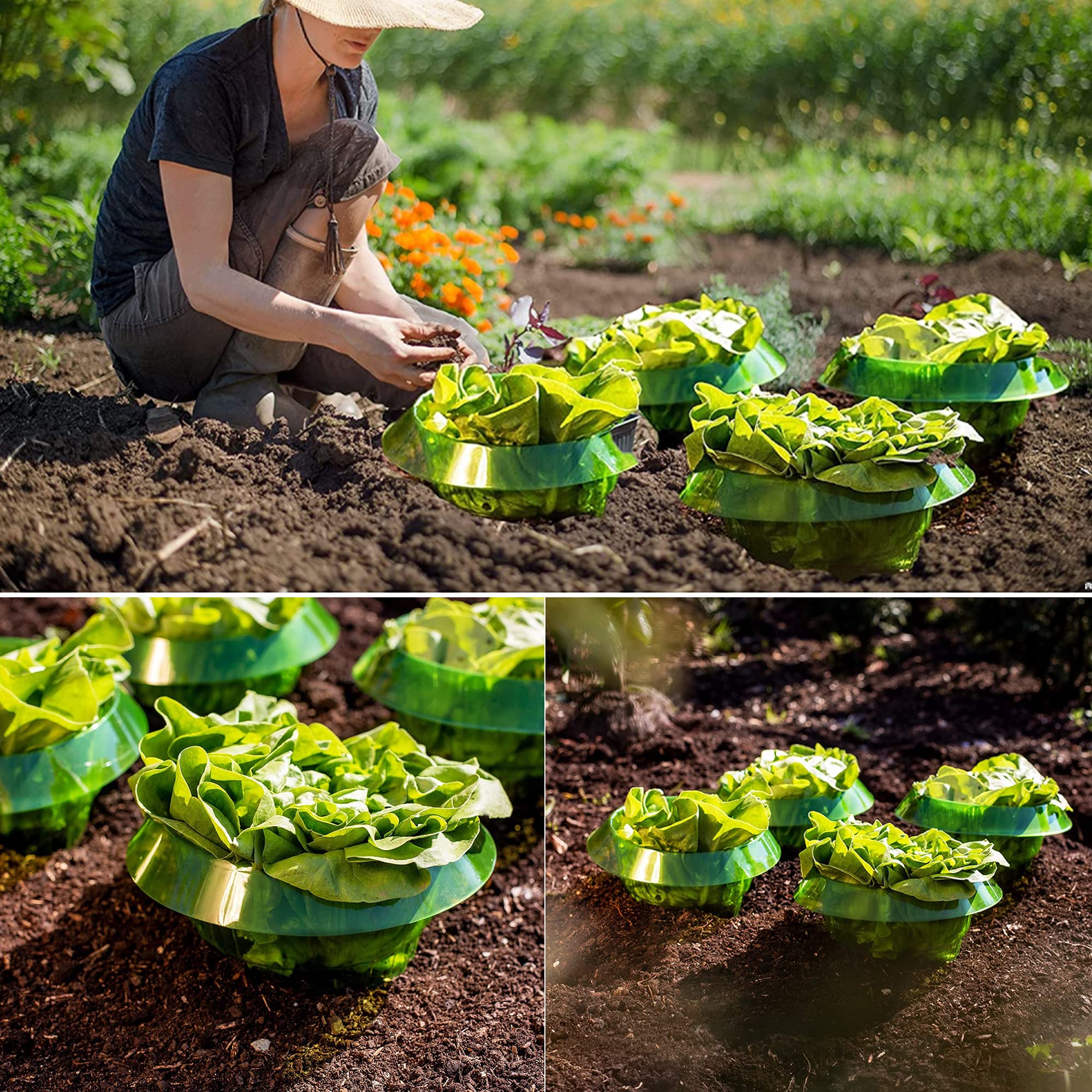 10 Pezzi Collari Anti-Lumache per Orto con Bordo 45° - Anelli Protezione Piante da Insalata, Pomodori e Cavoli, Materiale Resistente UV/Antipioggia, Senza Chimici e Riutilizzabile, Ø24cm