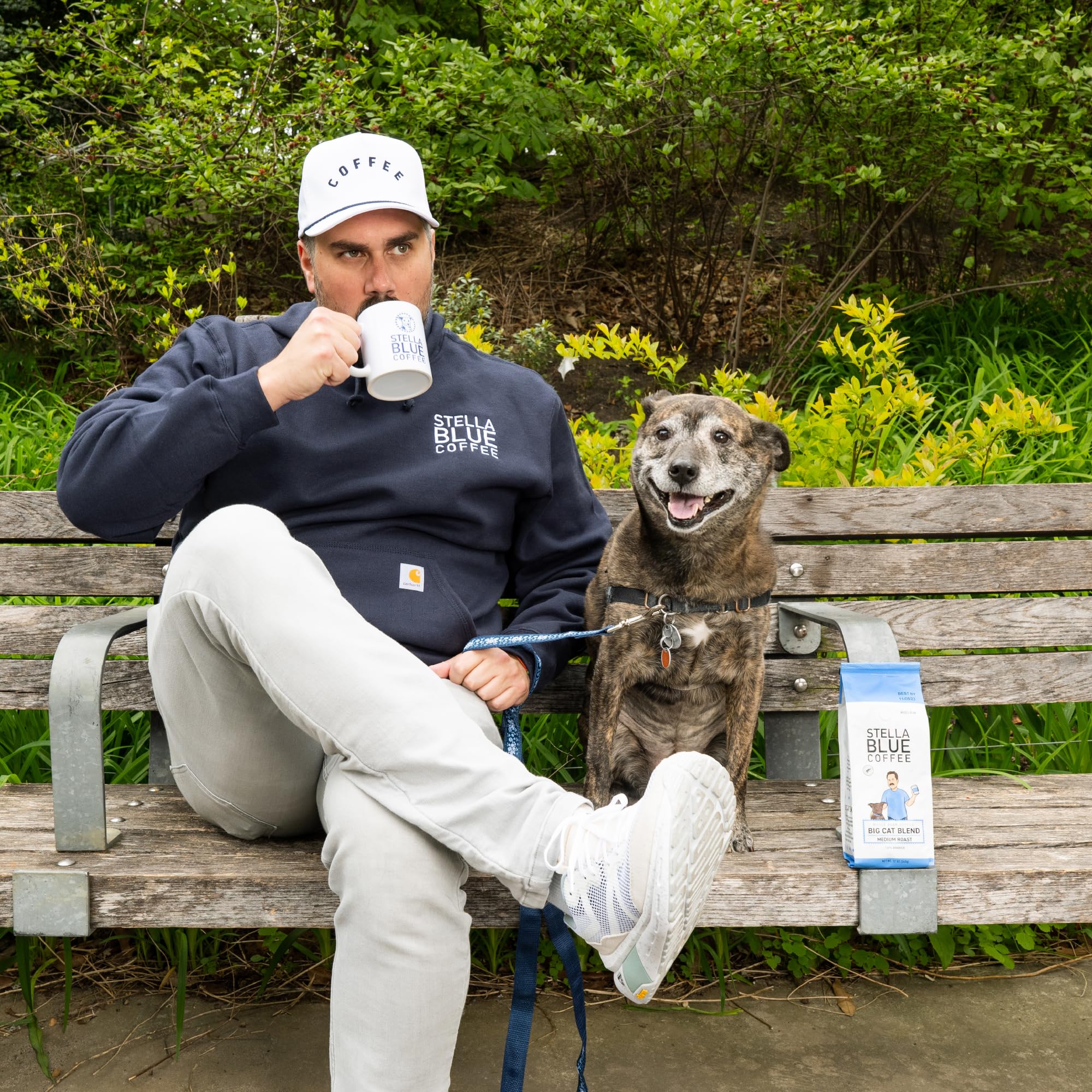 Stella Blue Cold Brew DarkRoast Electric Avenue Coffee - etyczne i zrównoważone pozyskiwane z Ameryki Środkowej - Pomaga wspierać PAWS Chicago