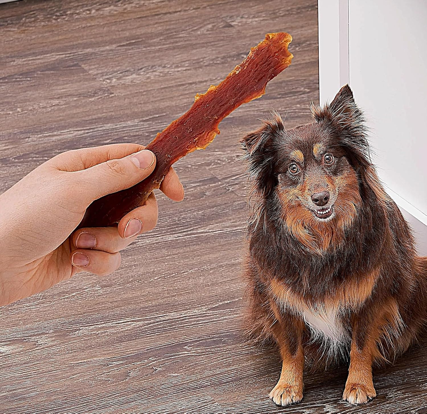 G'olden Rewards Duck Jerky Premium Dog Treats，32 oz (Pack of 1)