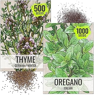 Seed Needs Thyme & Oregano Seeds for Planting Fresh Kitchen Herbs - Non-...