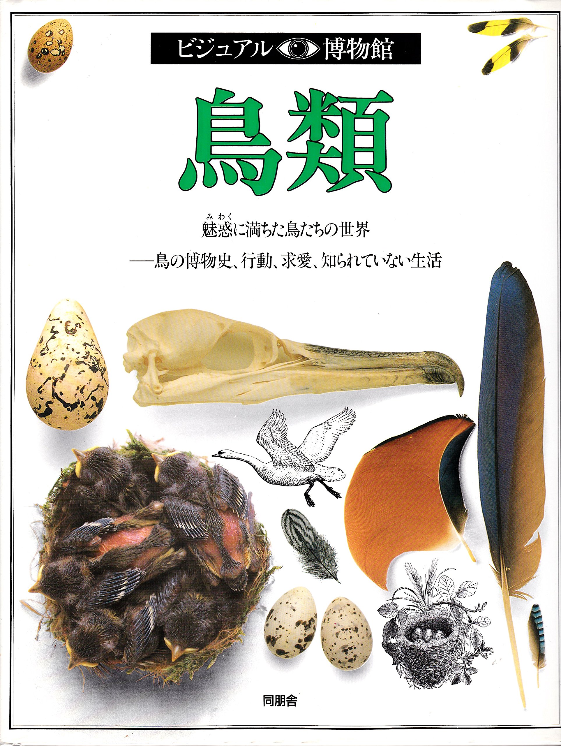 ビジュアル博物館 猛禽類 Yahoo!オークション - 【超希少】【美品】古本 ビジュアル博物館
