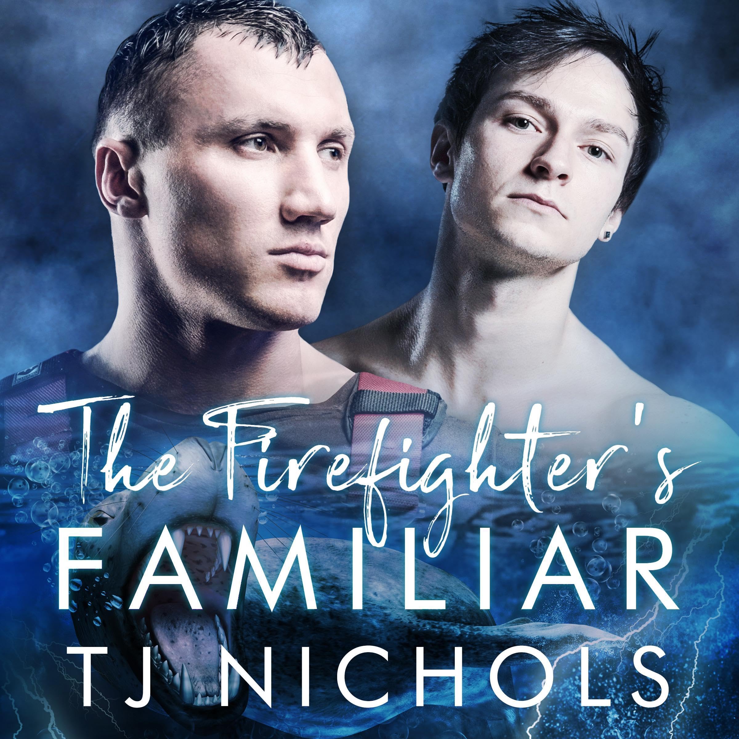 Cover art for The Firefighter's Familiar