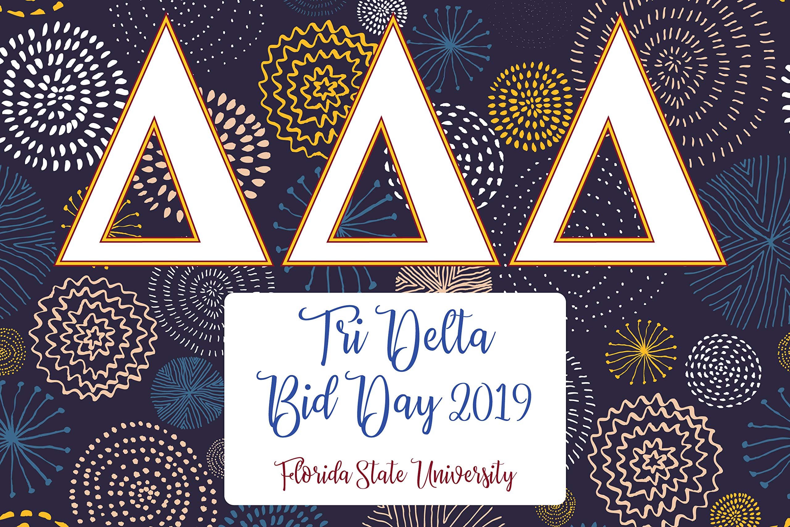 Sorority Bid Day Signature Poster - Delta Delta Delta Sorority - unframed - 24x36 - Approx. 190 Signatures