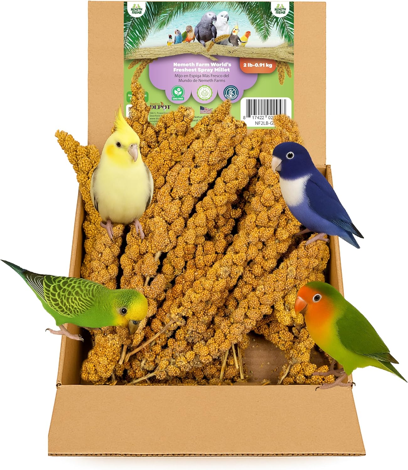 Nemeth Farms–Natural Sun Dried Millet Spray for Pet Birds–Bulk Parrot Seed Treats and Parrot Food–Natural Non GMO Millet Spray–Cockatiels Lovebirds Parakeet 2 lbs.