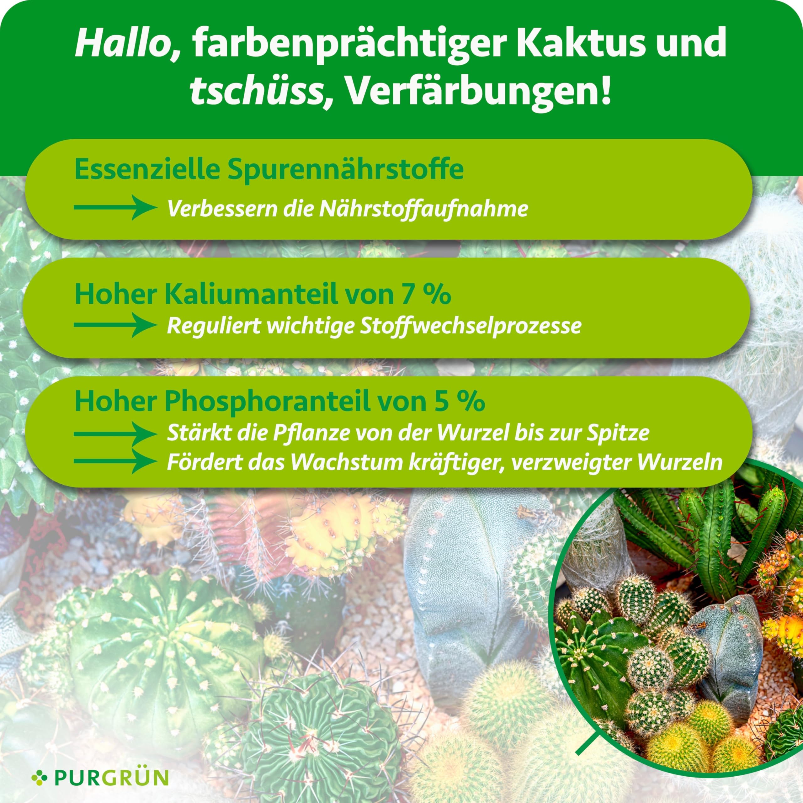 Kakteendünger 1 Liter – Spurennährstoffe für gleichmäßiges Wachstum – Extra Kalium fördert die Widerstandskraft – Ergiebiges Konzentrat für 200 Liter Gießwasser – Premium-Flüssigdünger
