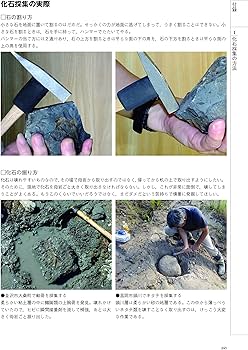 Amazon.co.jp: 産地別日本の化石750選: 本でみる化石博物館・別館