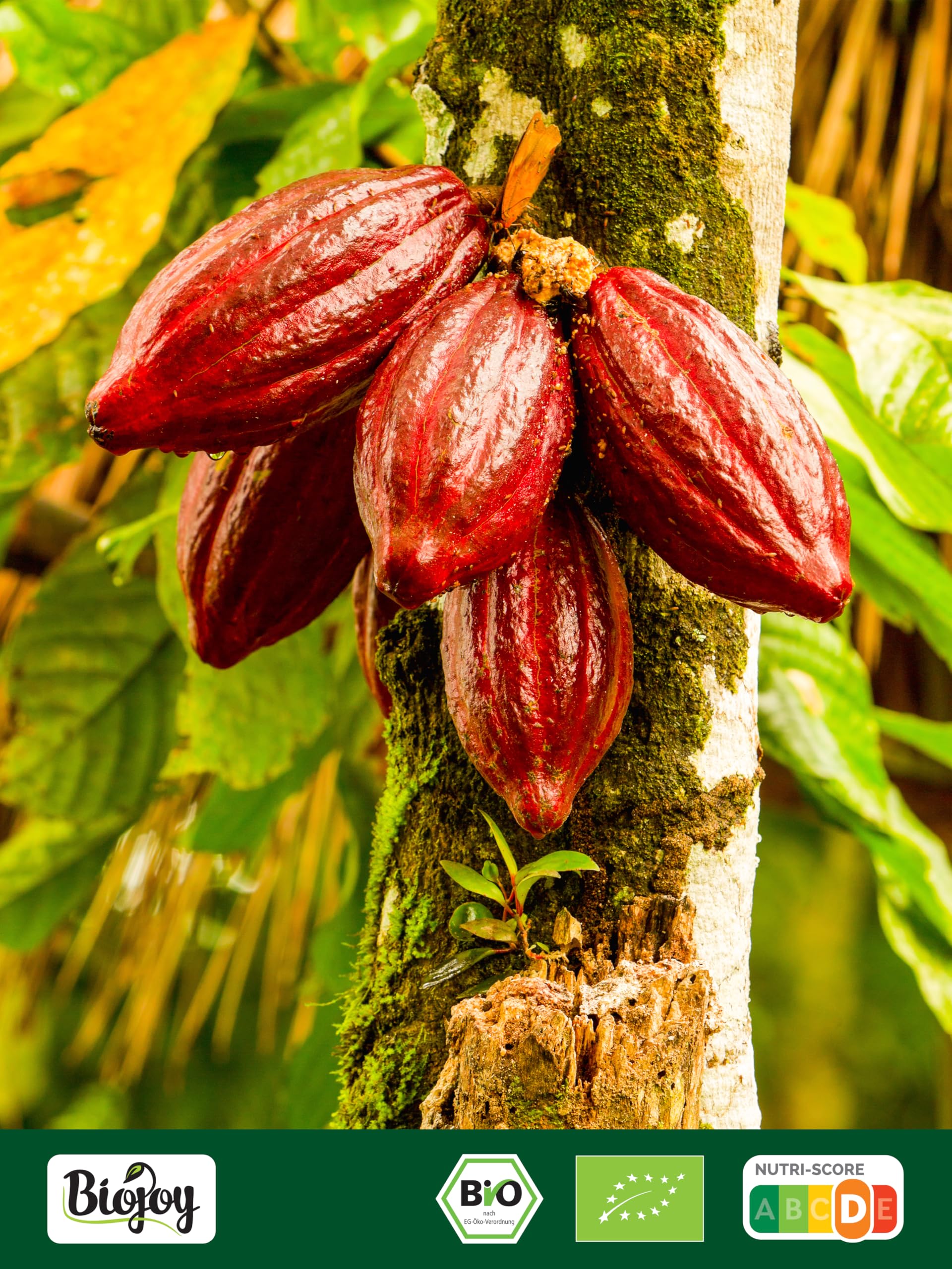Biojoy Nibs de cacao Ecológico (1 kg), crudos y sin azúcares añadidos, Cacao nibs (Theobroma cacao)