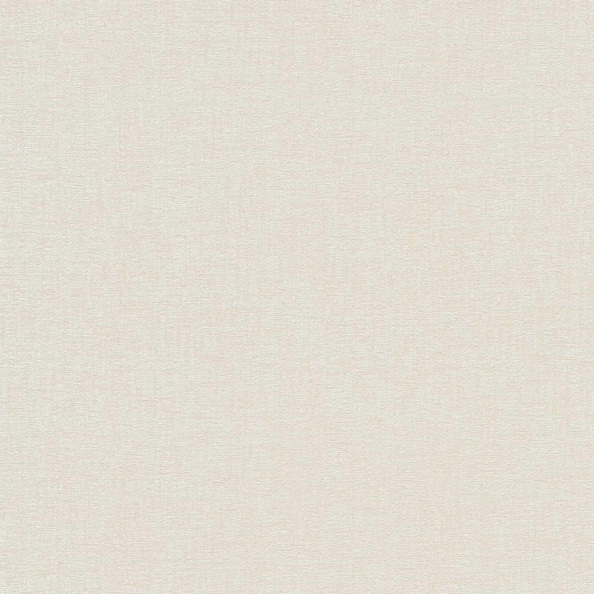 Livingwalls Beige Plain Non-woven Wallpaper 396557 10.05 m x 0.53 m Made in Germany, 53 x 1005 cm - Image 2