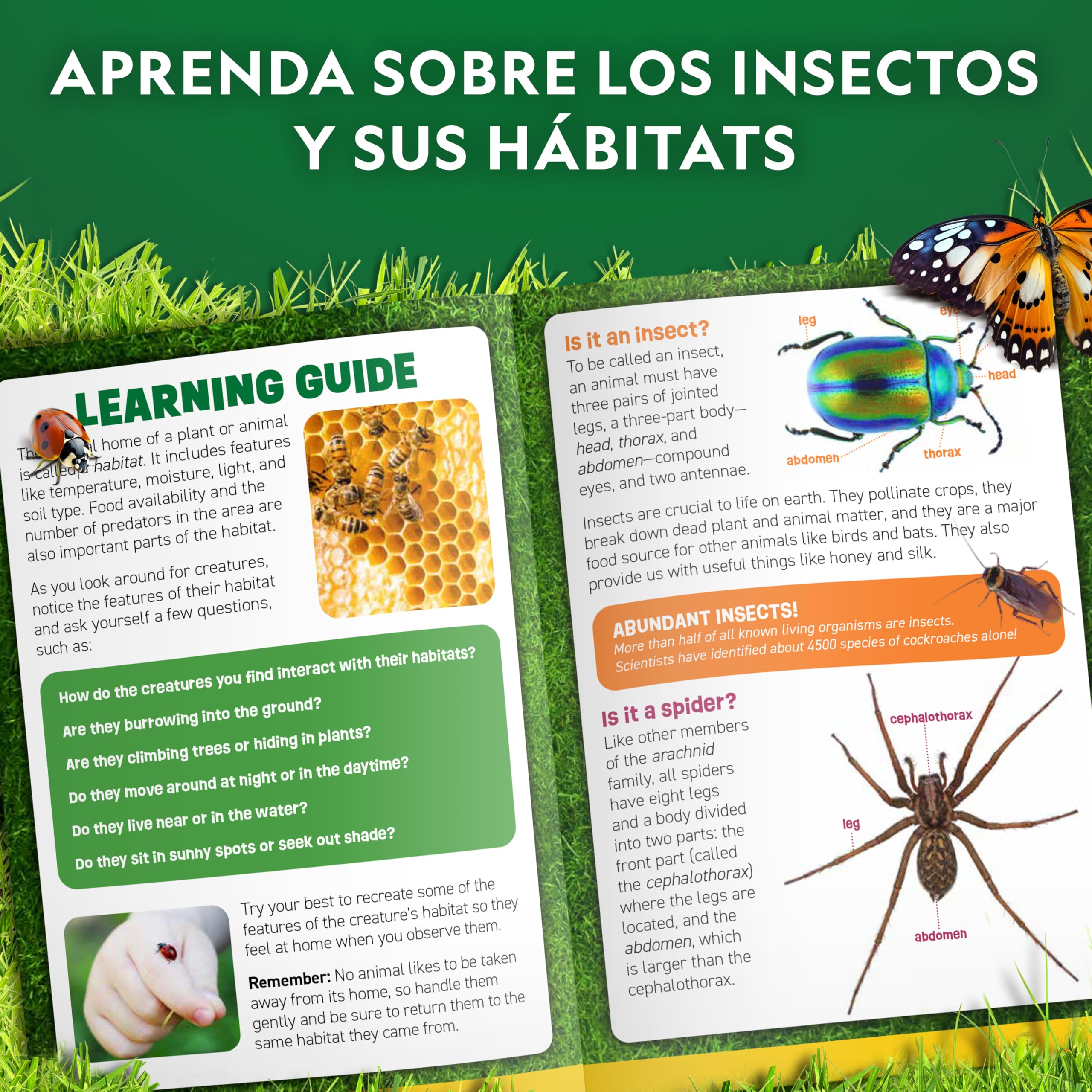 National Geographic Kit de Captura de Insectos para niños – Set de exploración con Red, hábitat con Lupa, Pinzas y más