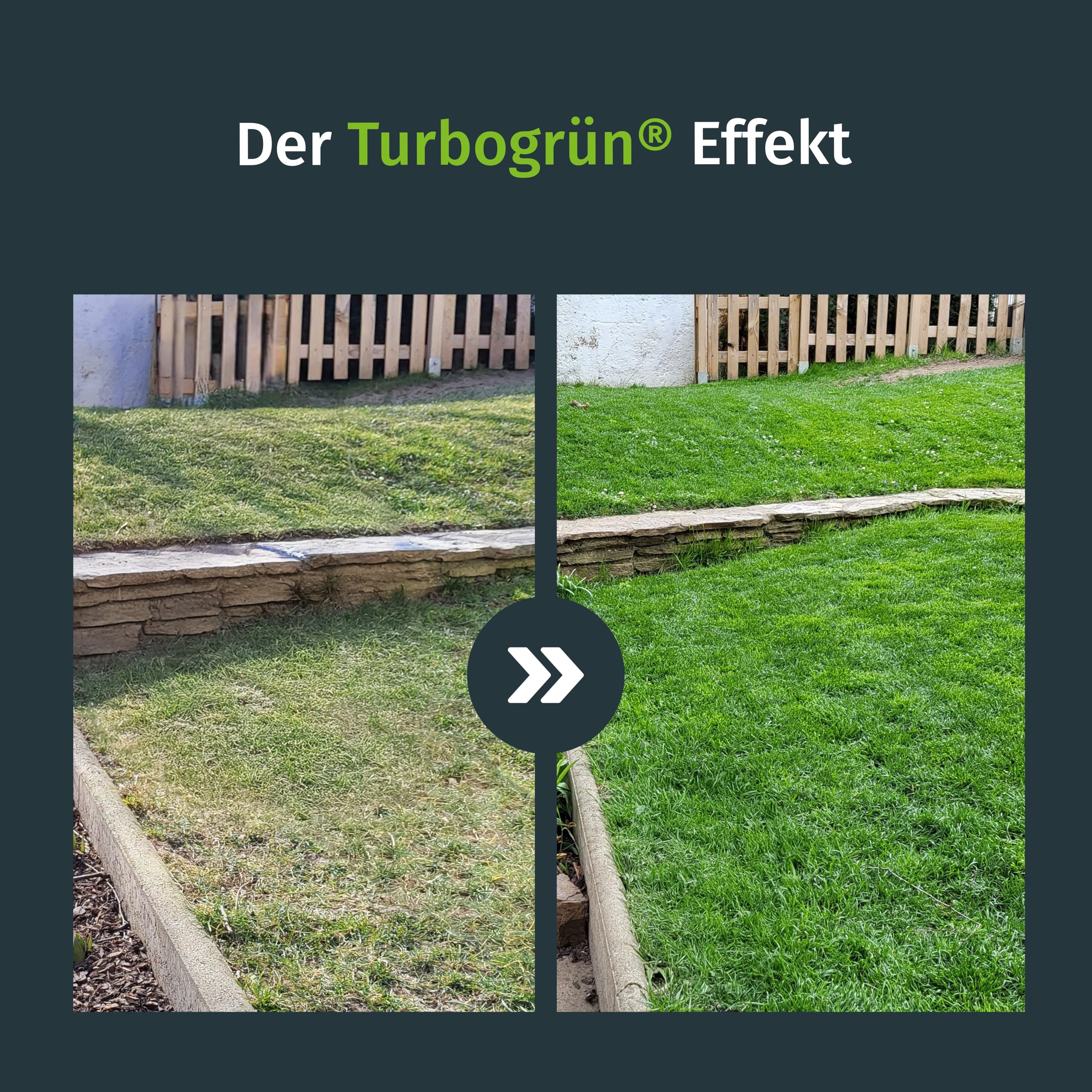 Herbstrasendünger 20kg mit Kalium, Winterfest, Moosverdrängend, Staubarmes Granulat