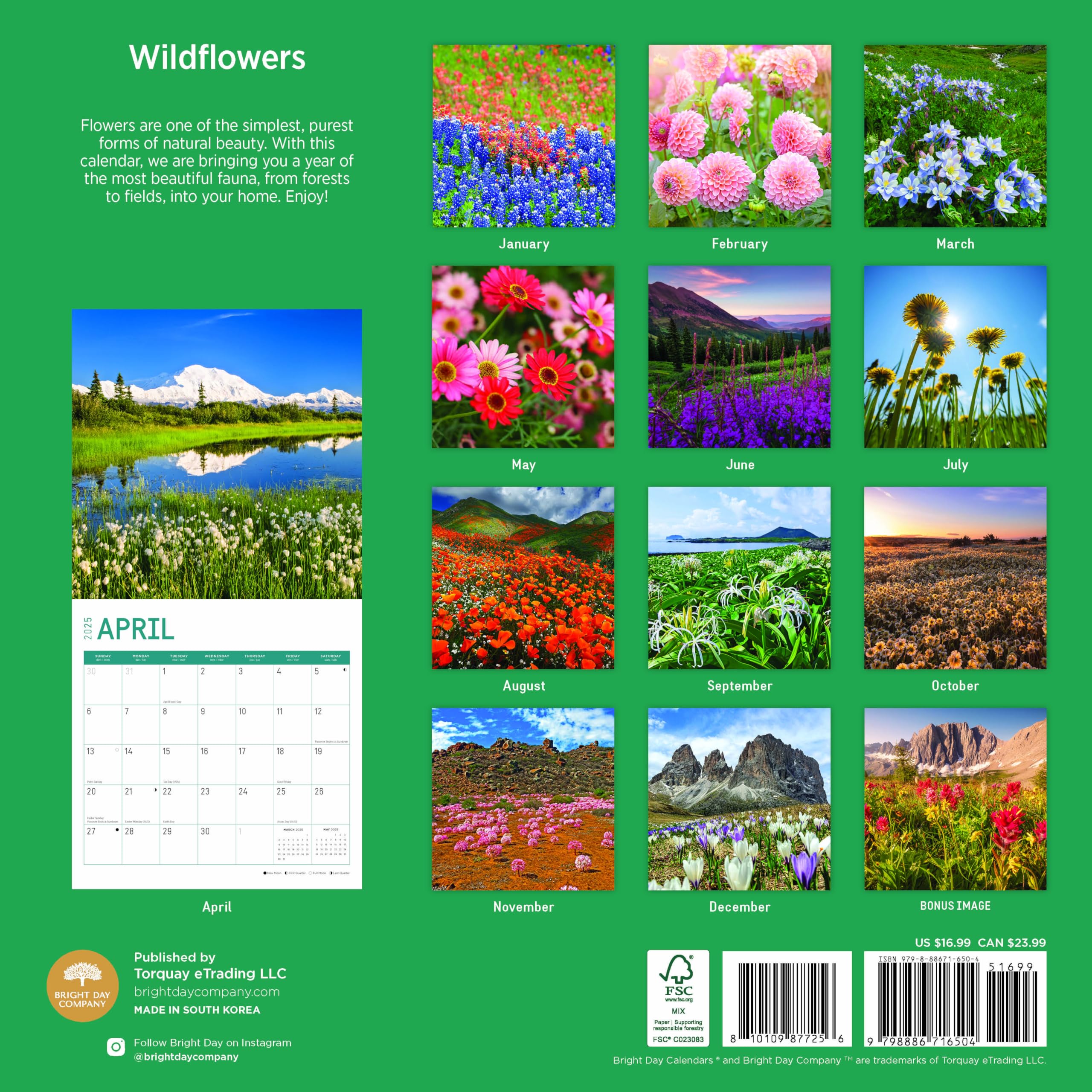 2025 Wildflowers Monthly Wall Calendar by Bright Day, 12 x 12 Inch ...