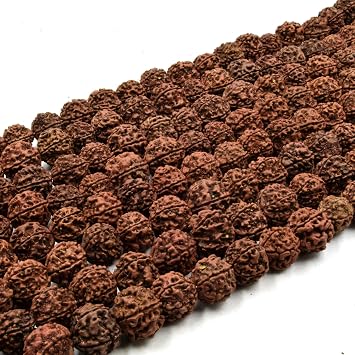 12mm Natural Rudraksha Seed Beads with 1mm Holes - Sold by the Strand - 108 Beads per Strand