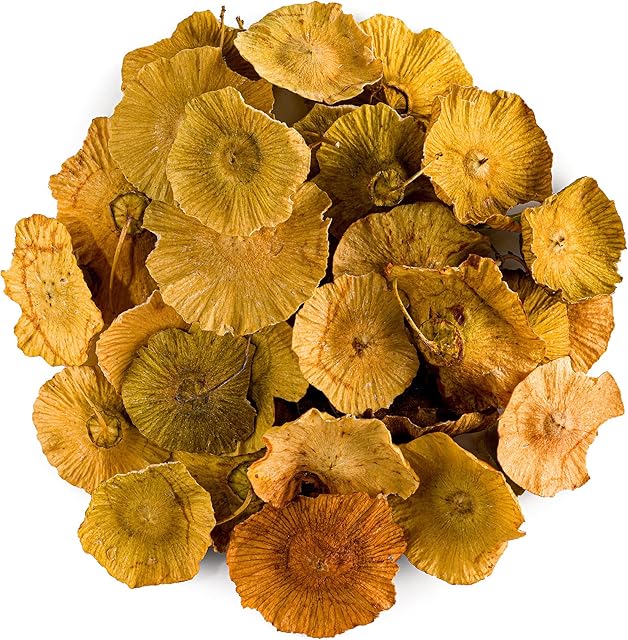Christ Thorn Organic Herb