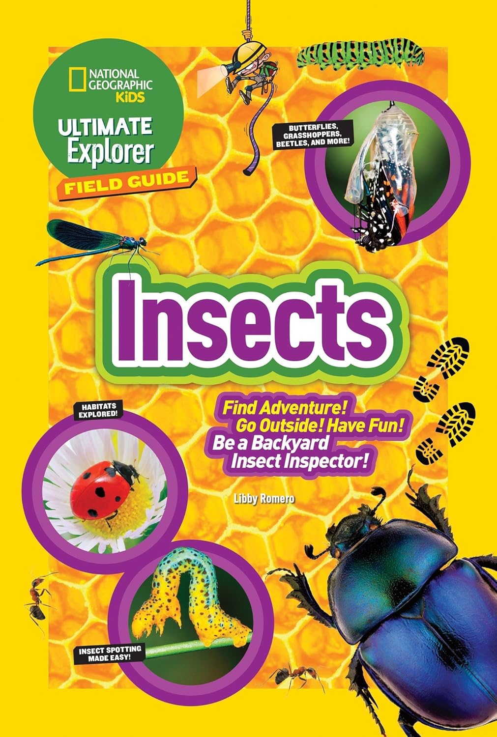 Ultimate Explorer Field Guide Insects Find Adventure! Go Outside