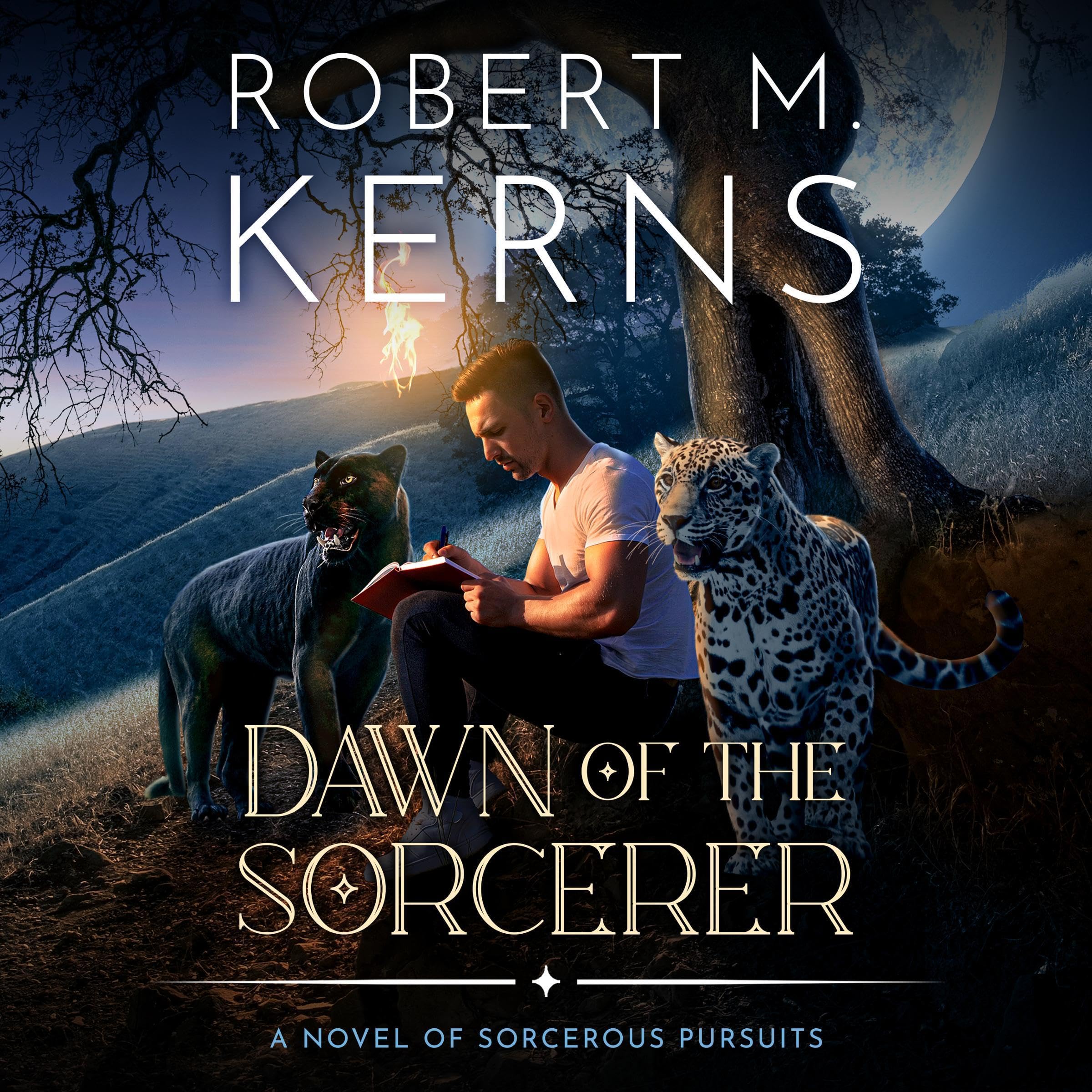 Cover art for Dawn of the Sorcerer