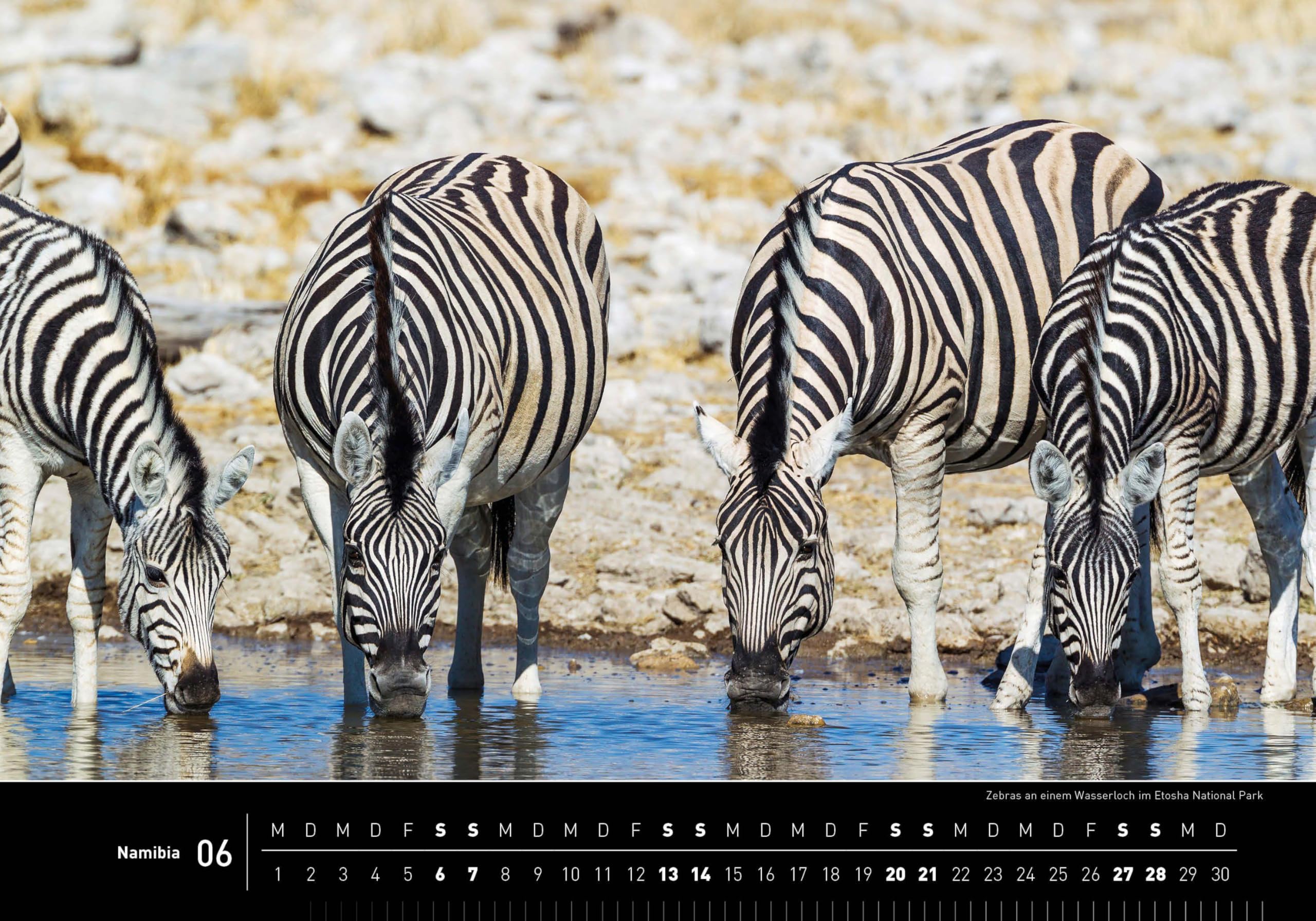 Namibia Premiumkalender 2026 (360° Premiumkalender 2026: Format 50 x 35 cm)