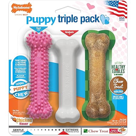 nylabone 3 pack