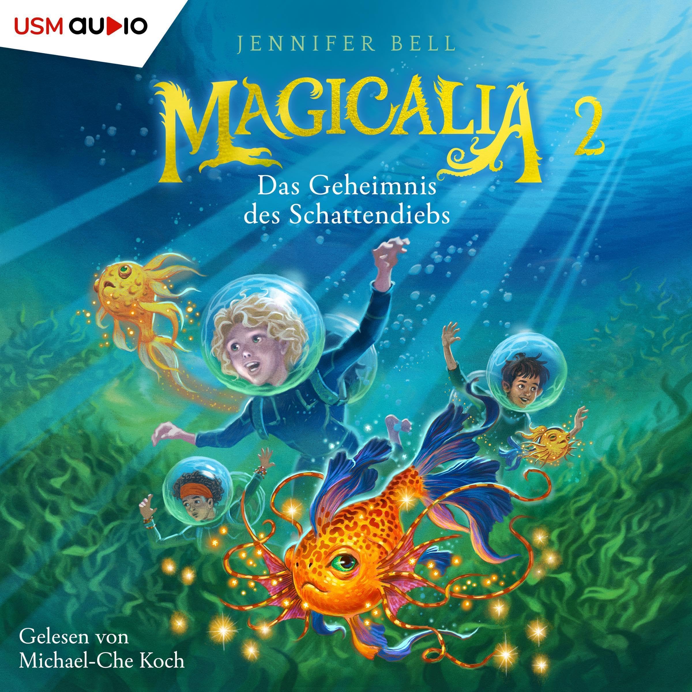 Cover art for Geheimnis des Schattendiebs