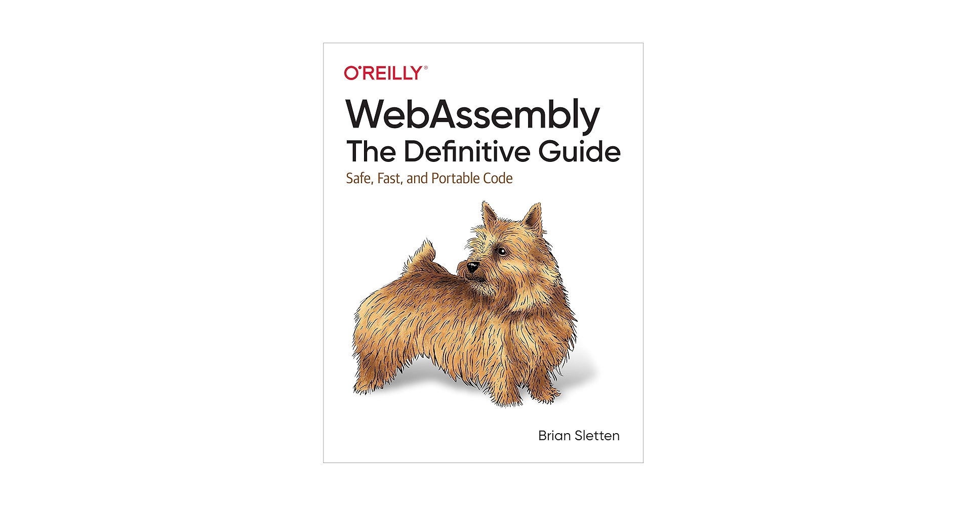 Scheletens & abbenes case publishing 絶版 Scheletens