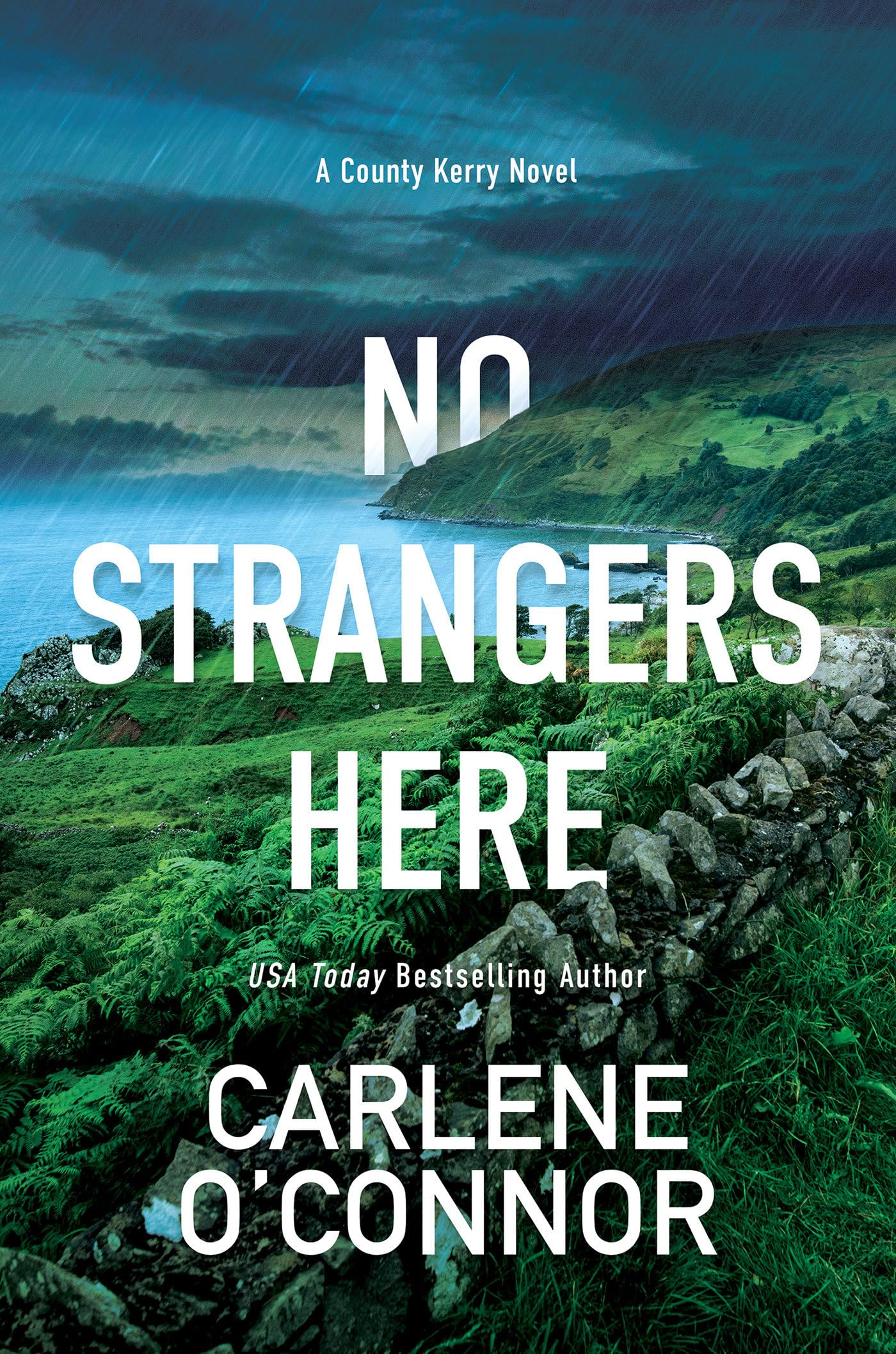 Buy No Strangers Here: A Riveting Irish Thriller — BookShops.in
