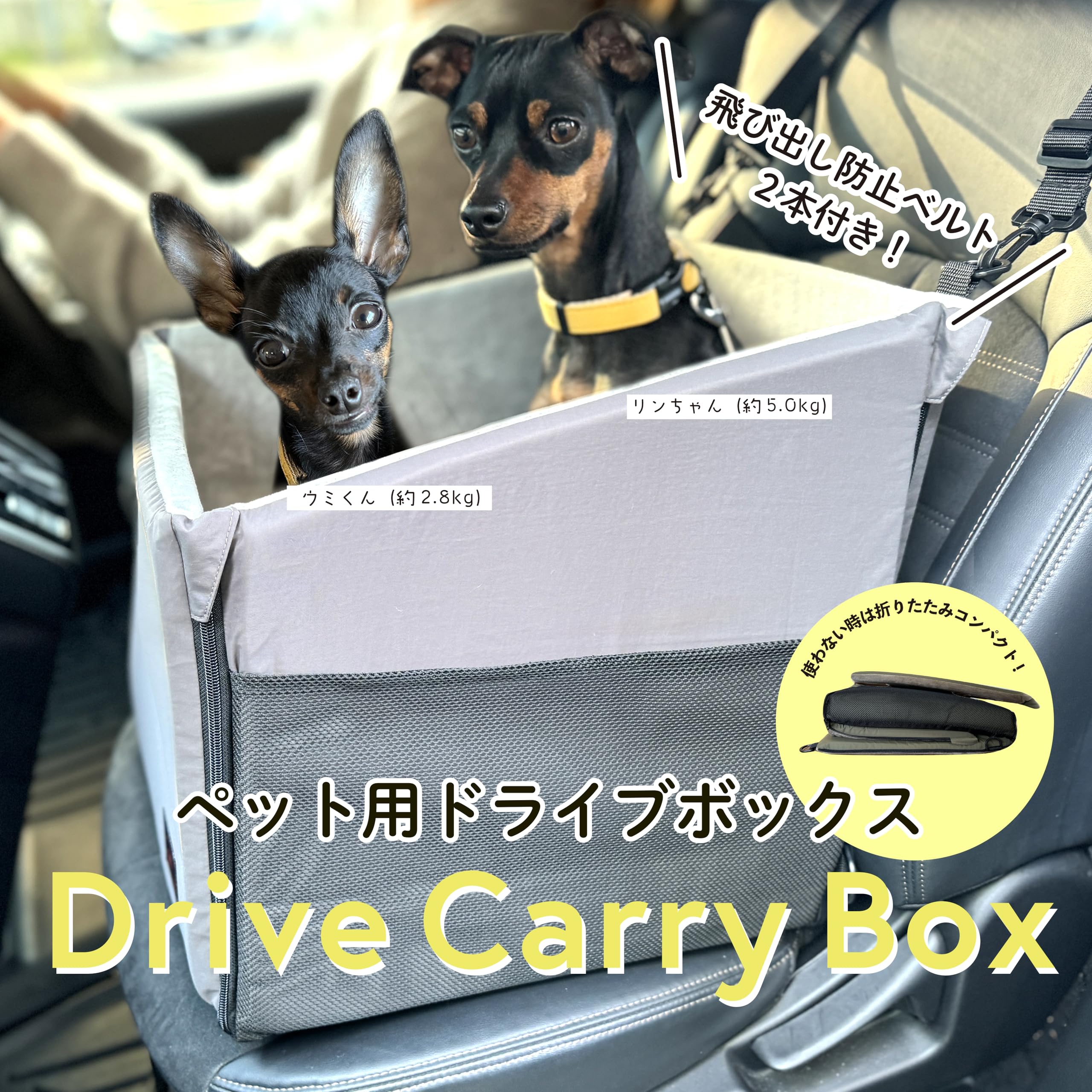 Amazon | ペット用ドライブボックス【防水 ドライブキャリーボックス