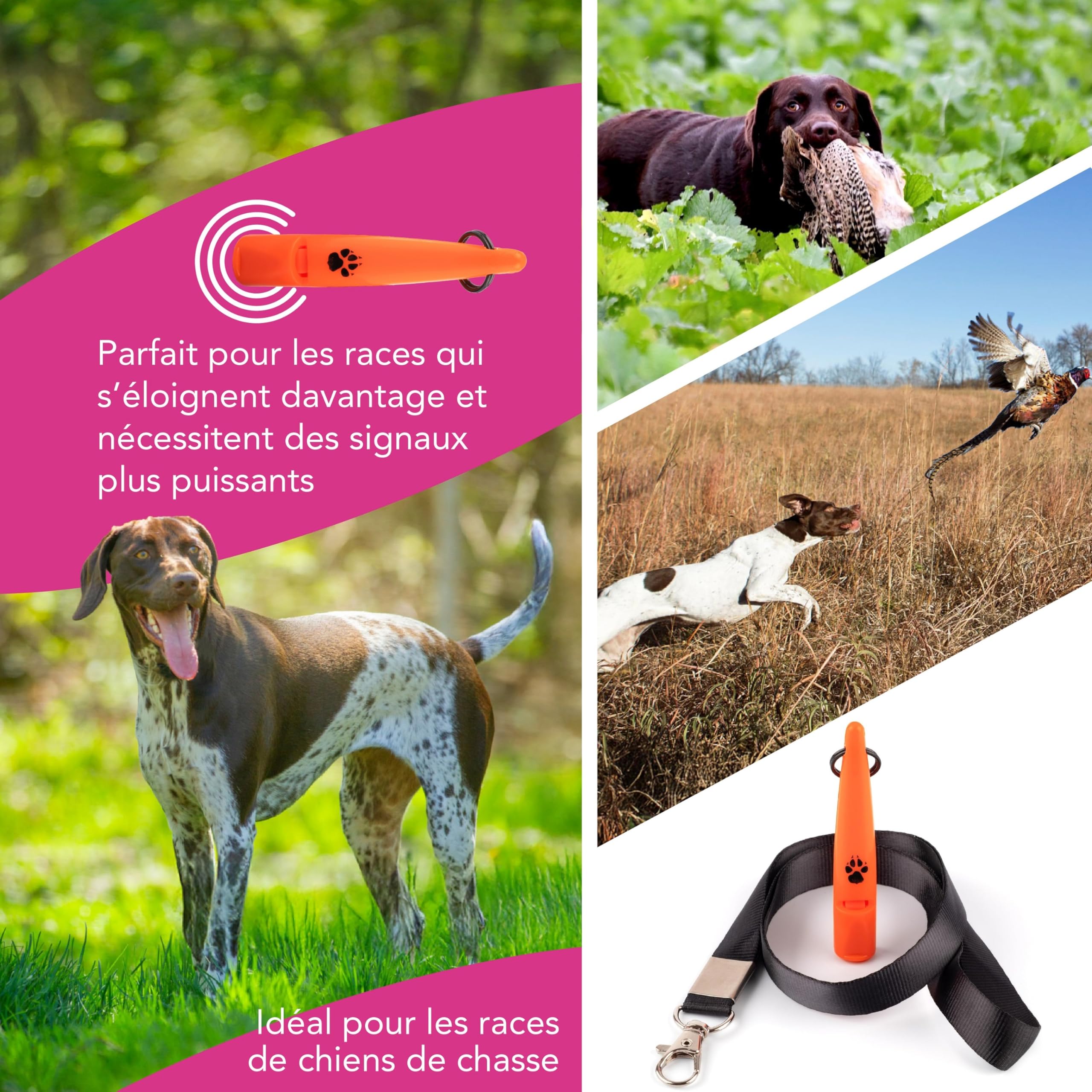 Sifflet d'entraînement pour chiens de chasse TDL avec lanière - Sifflet pour chien avec un ton fort et solide et un son à longue portée - Sifflet de rappel pour chien haute fréquence idéal pour la