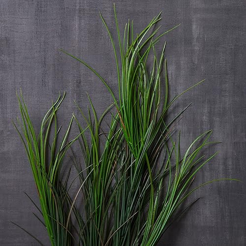 Ashland Arbusto de hierba verde surtido