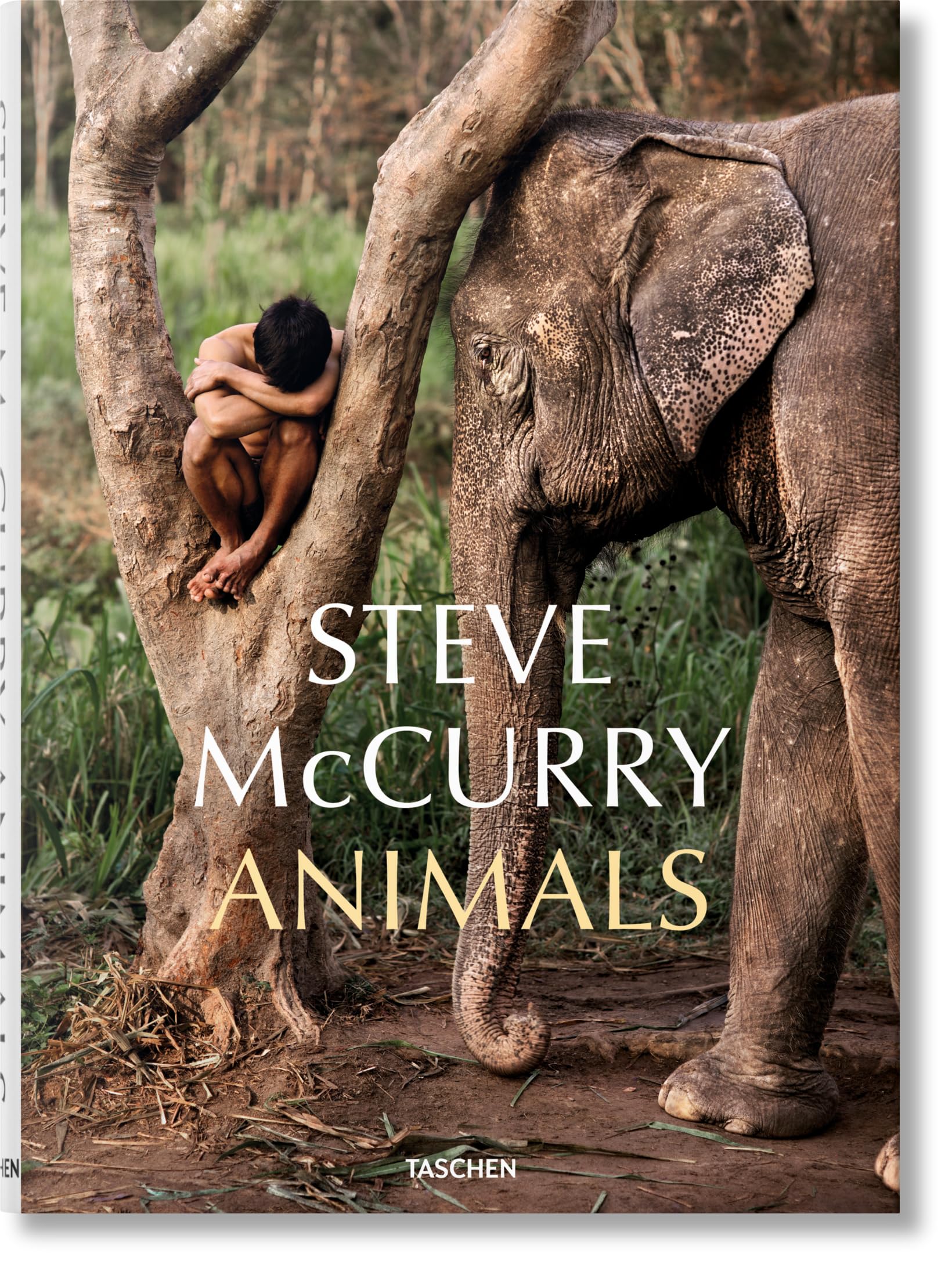 Steve McCurry. Animals: Mehrsprachige Ausgabe