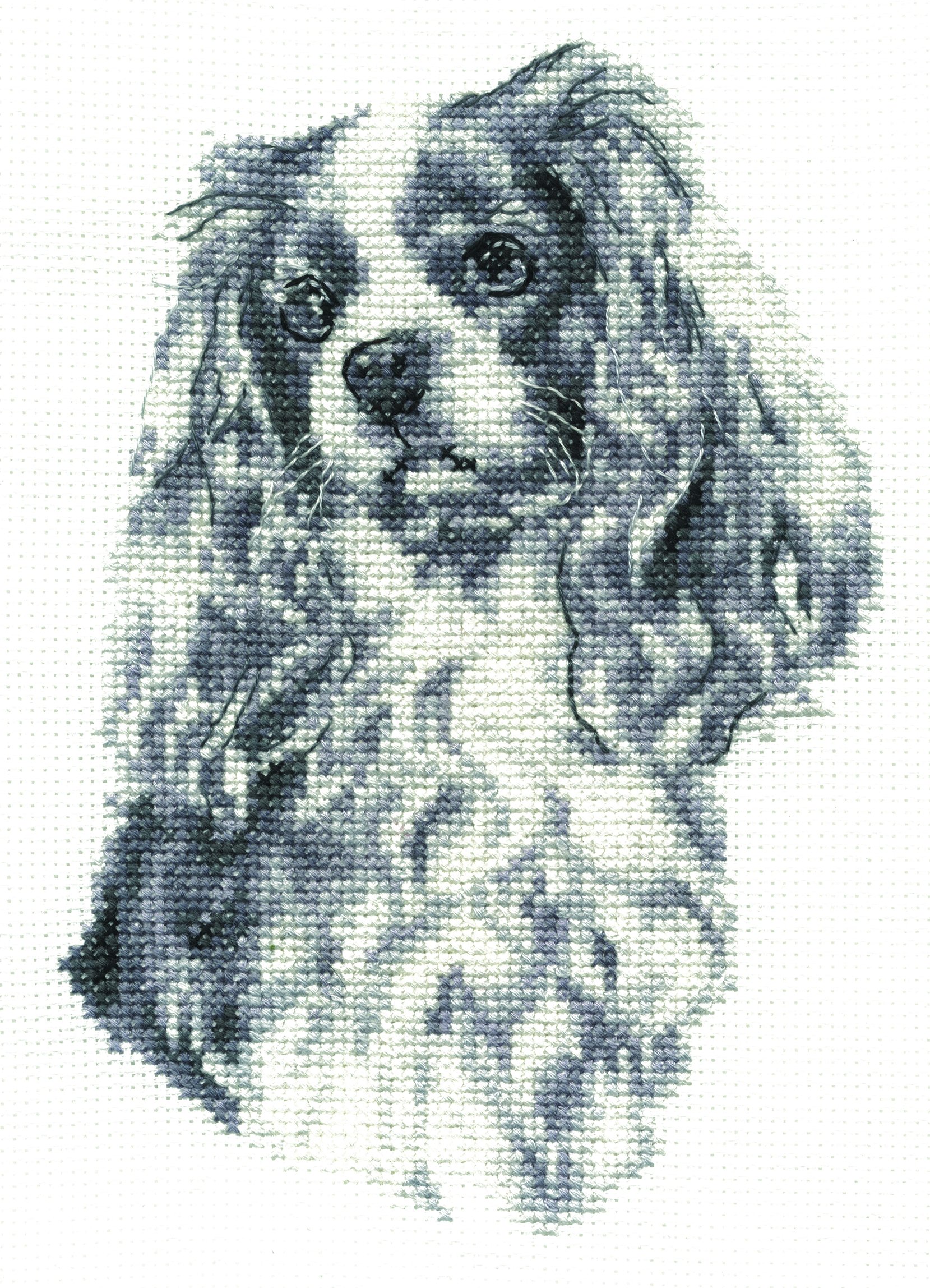 DMC Creative world King Charles Cavelier Cross Stitch Kit, Cotton, Black/White