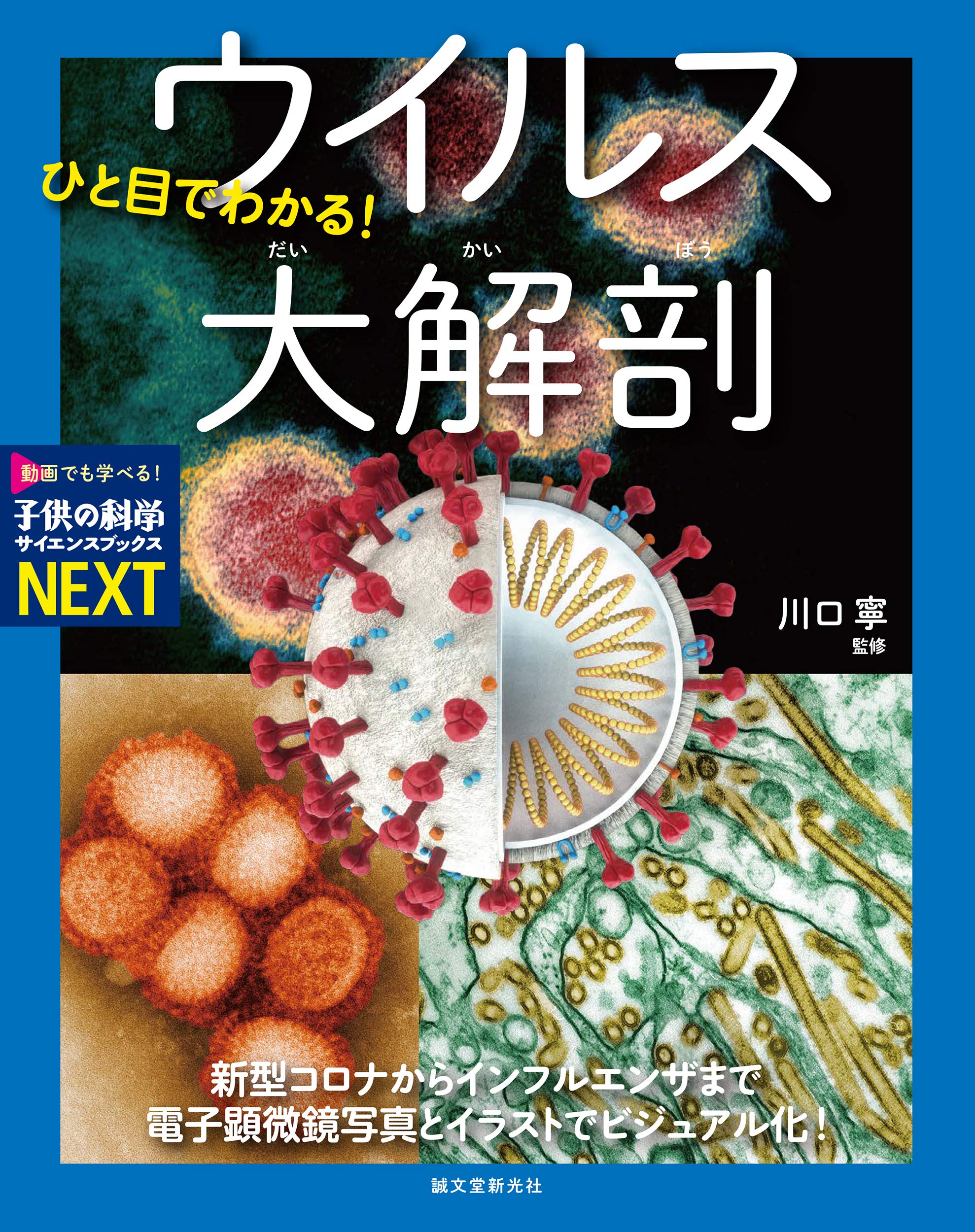 ひと目でわかる! ウイルス大解剖: 新型コロナからインフルエンザまで