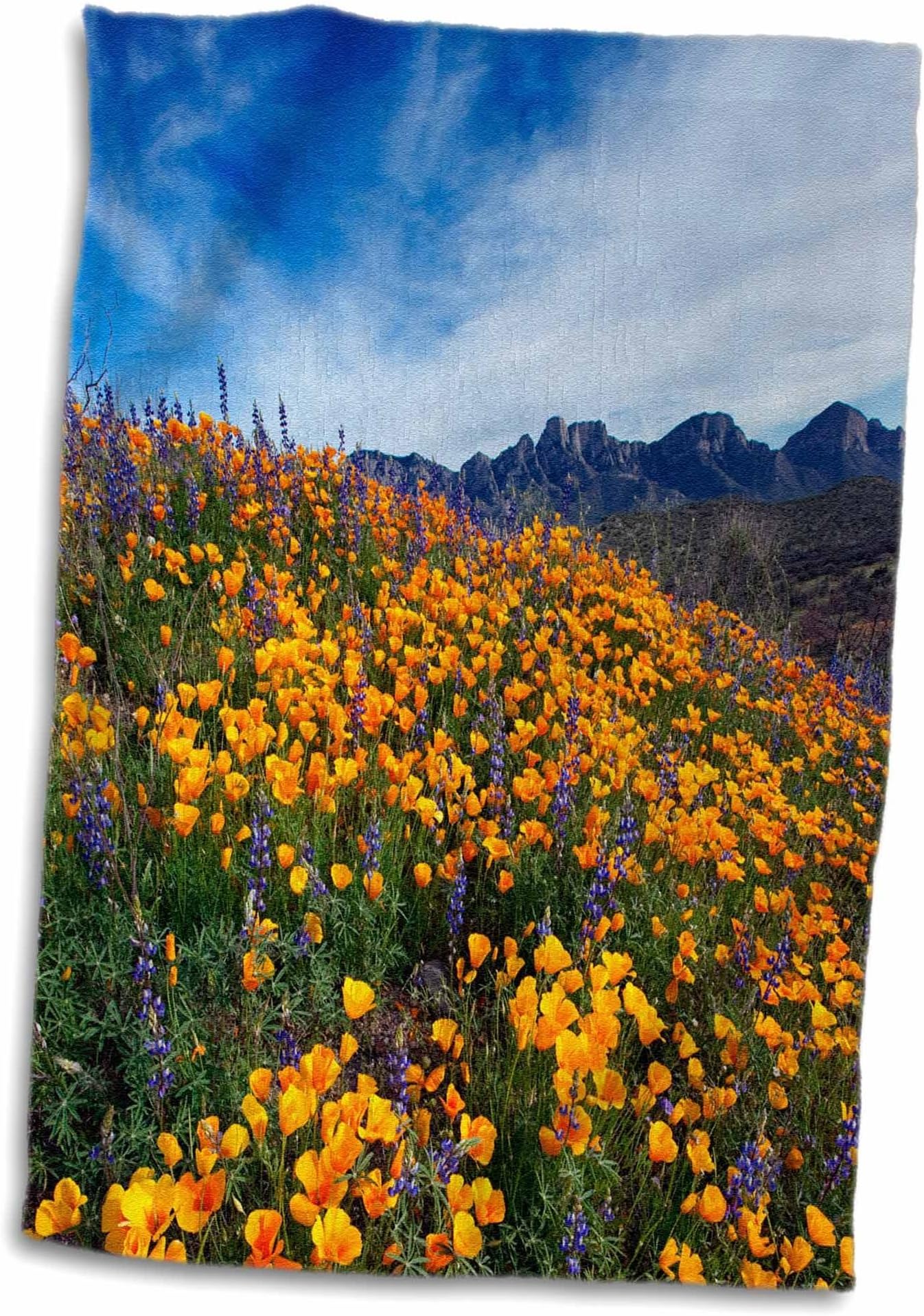 3dRose Mexican Poppies And Lupine Bloom/Sonoran Desert/Tucson/Arizona Towel, Multicolor, 15 x 22-Inch