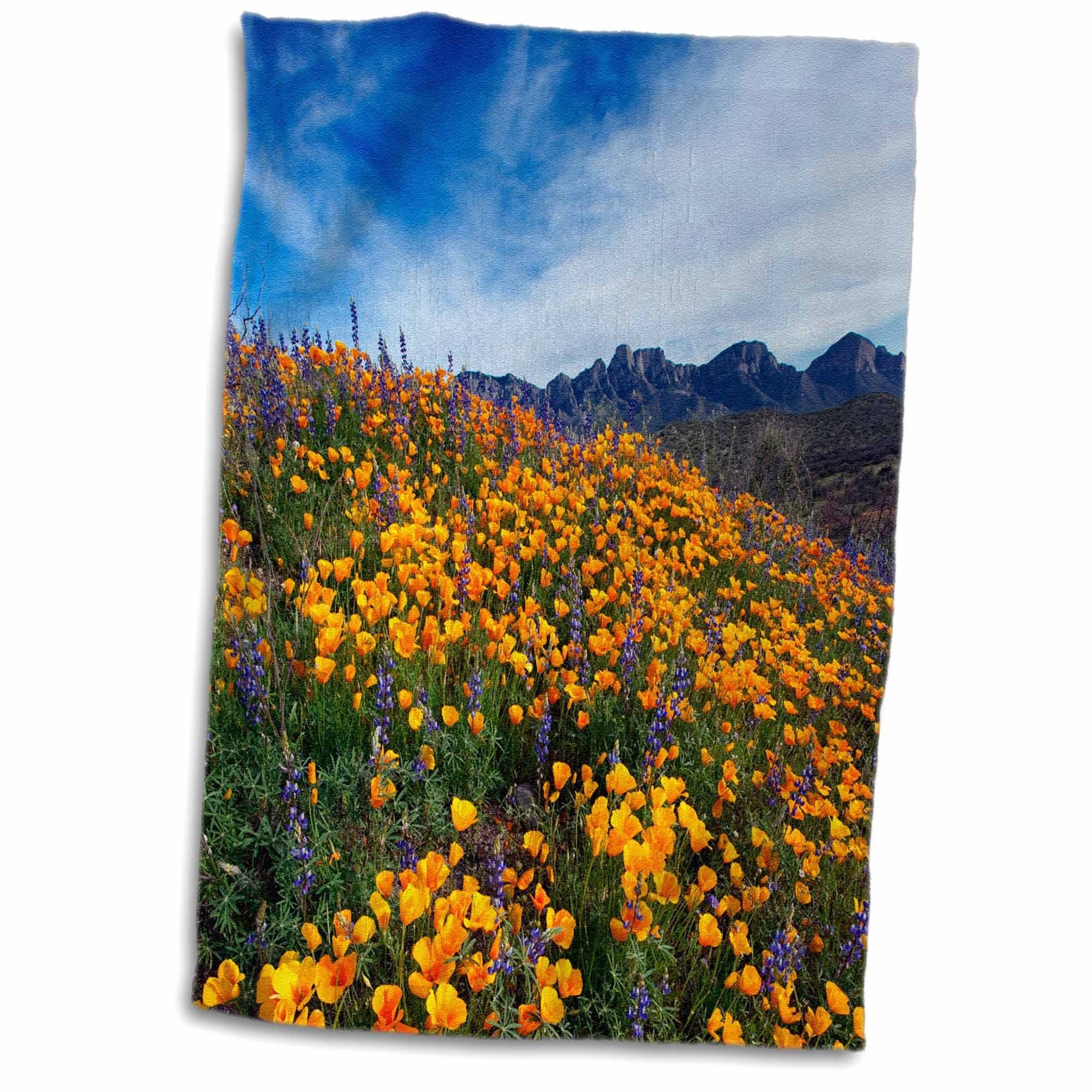 3dRose Mexican Poppies And Lupine Bloom/Sonoran Desert/Tucson/Arizona Towel, Multicolor, 15 x 22-Inch